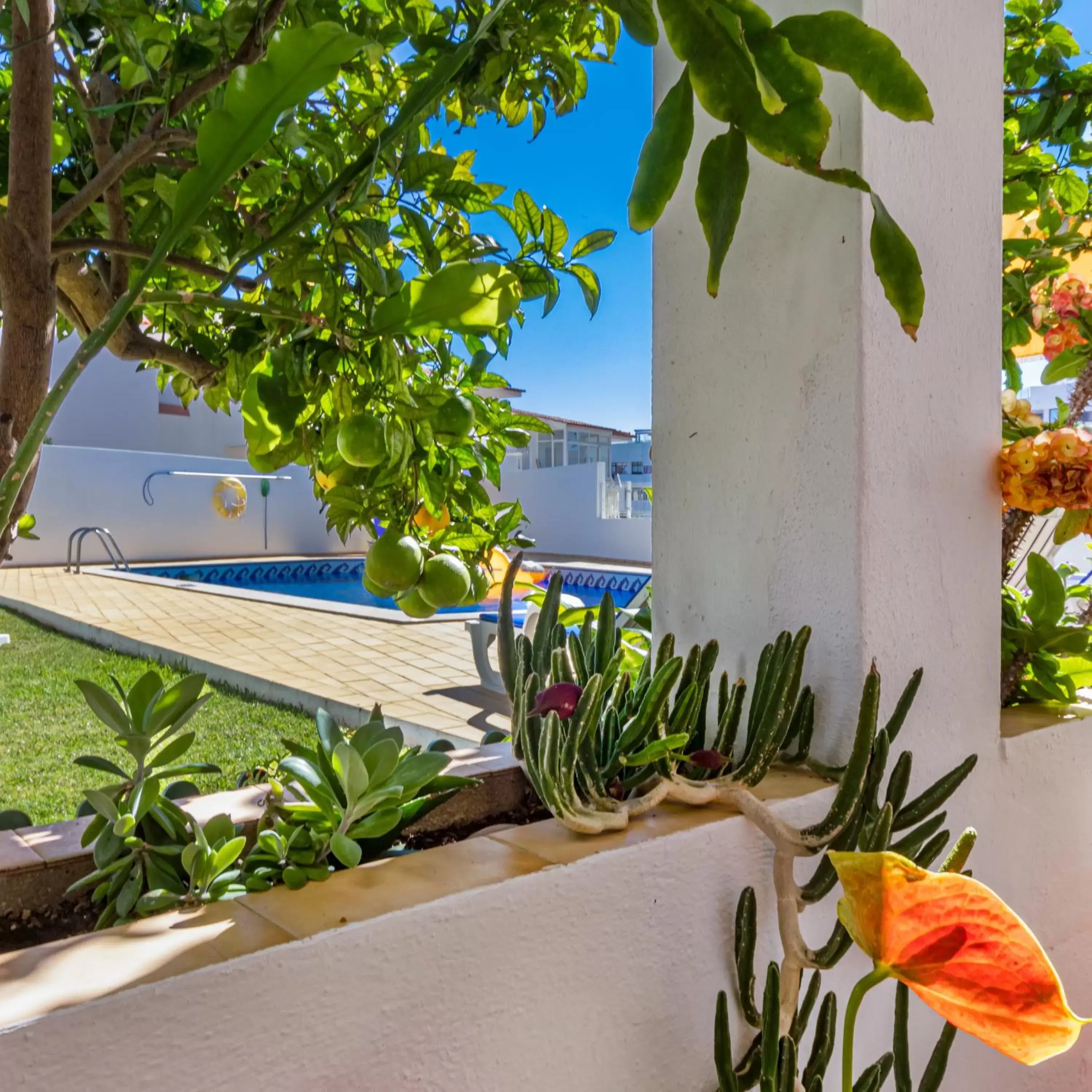 Swimming Pool in Apartamentos Carruna