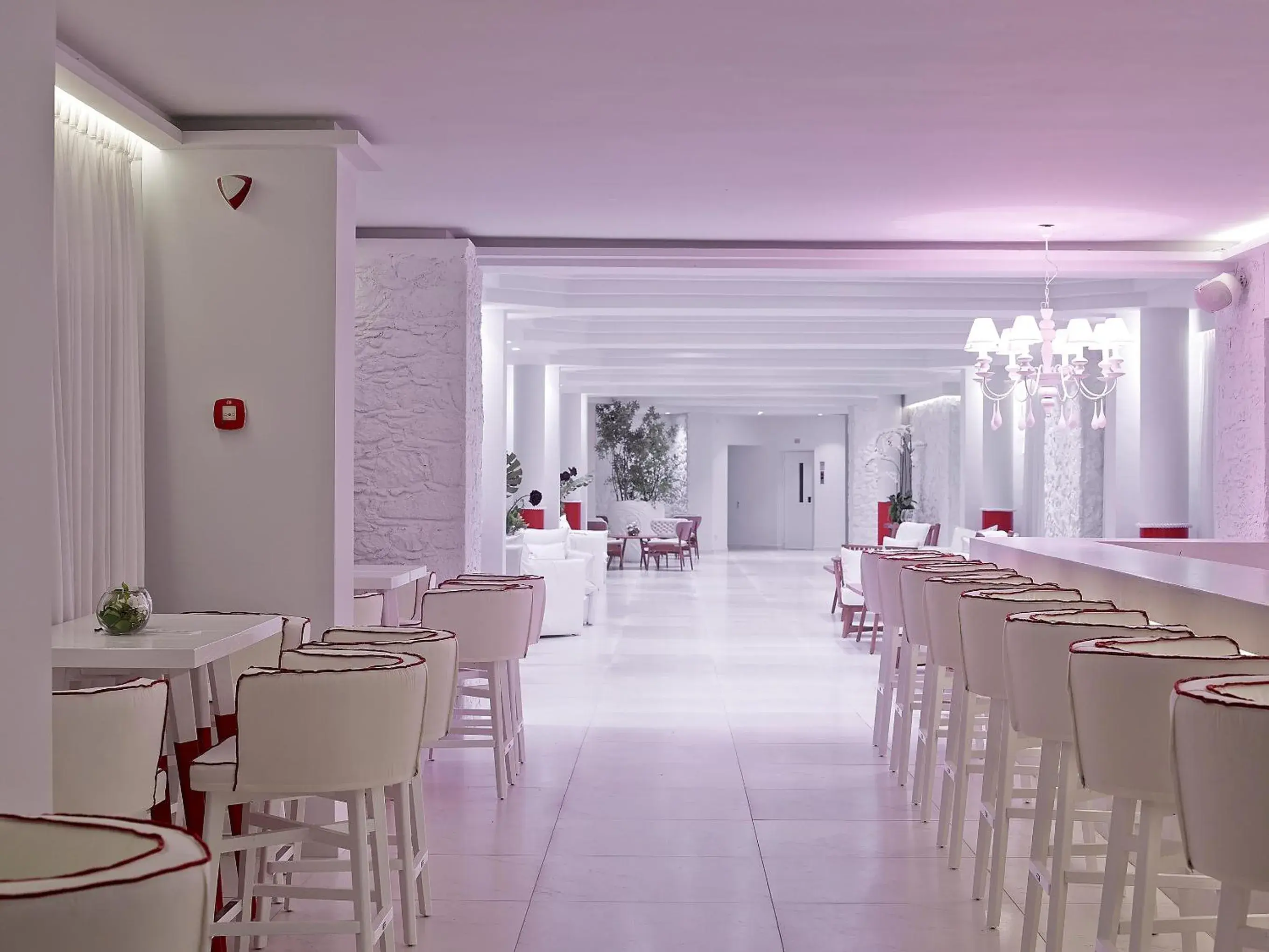 Lounge or bar in Dimitra Beach Hotel & Suites Lounge or bar in Dimitra Beach Hotel & Suites