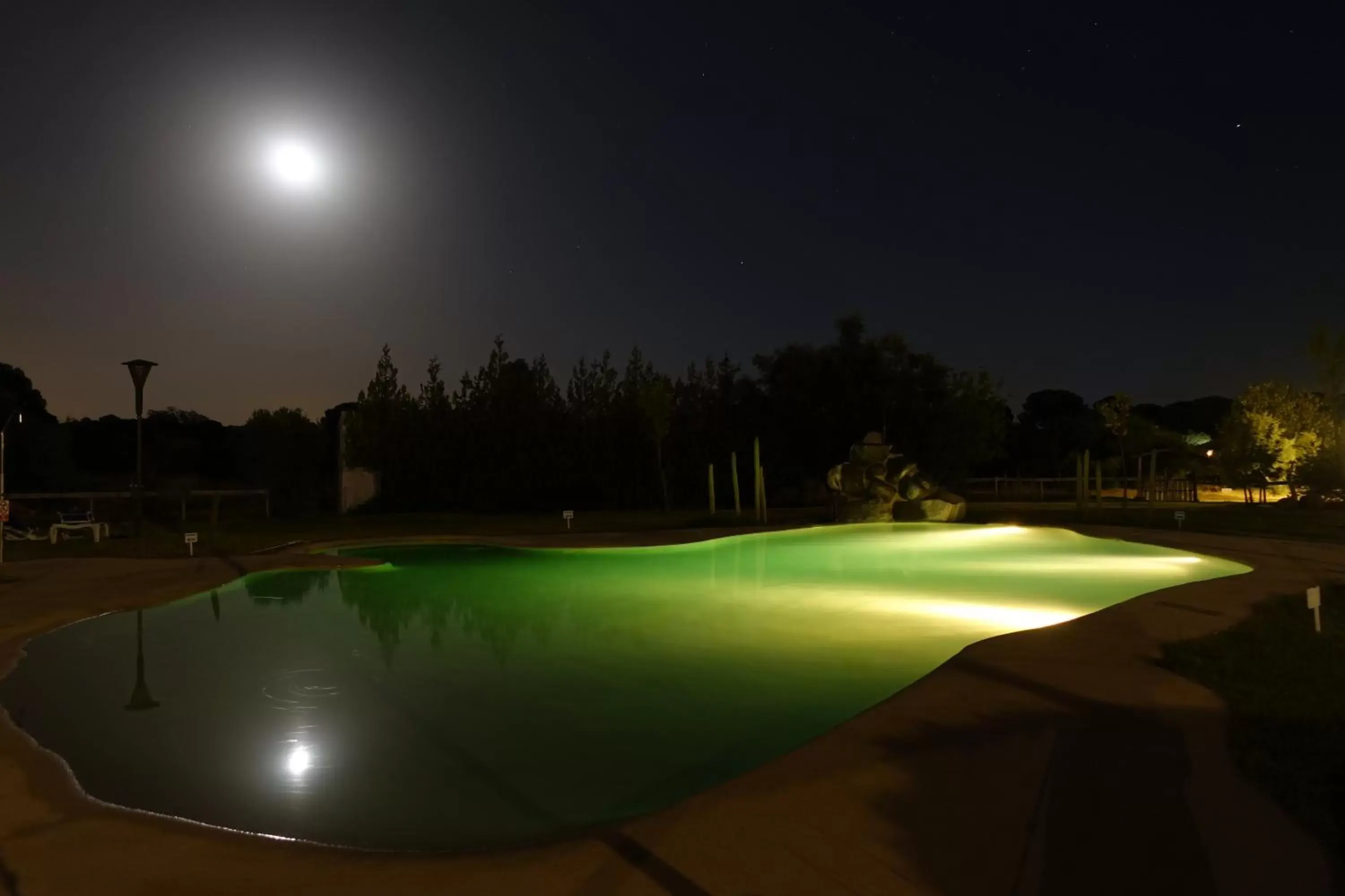 Night, Swimming Pool in Ardea Purpurea