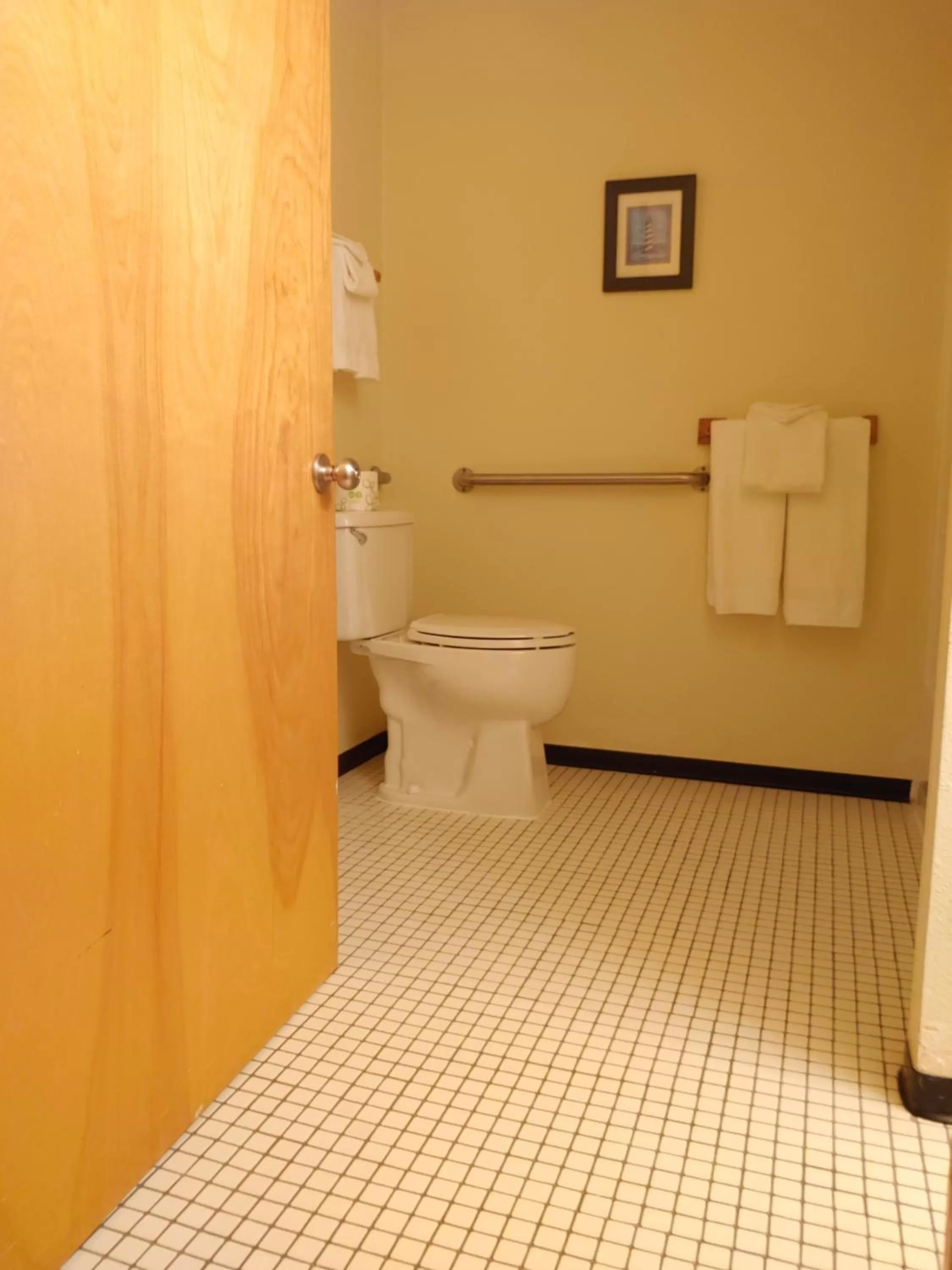 Toilet in The Dublin House Motel