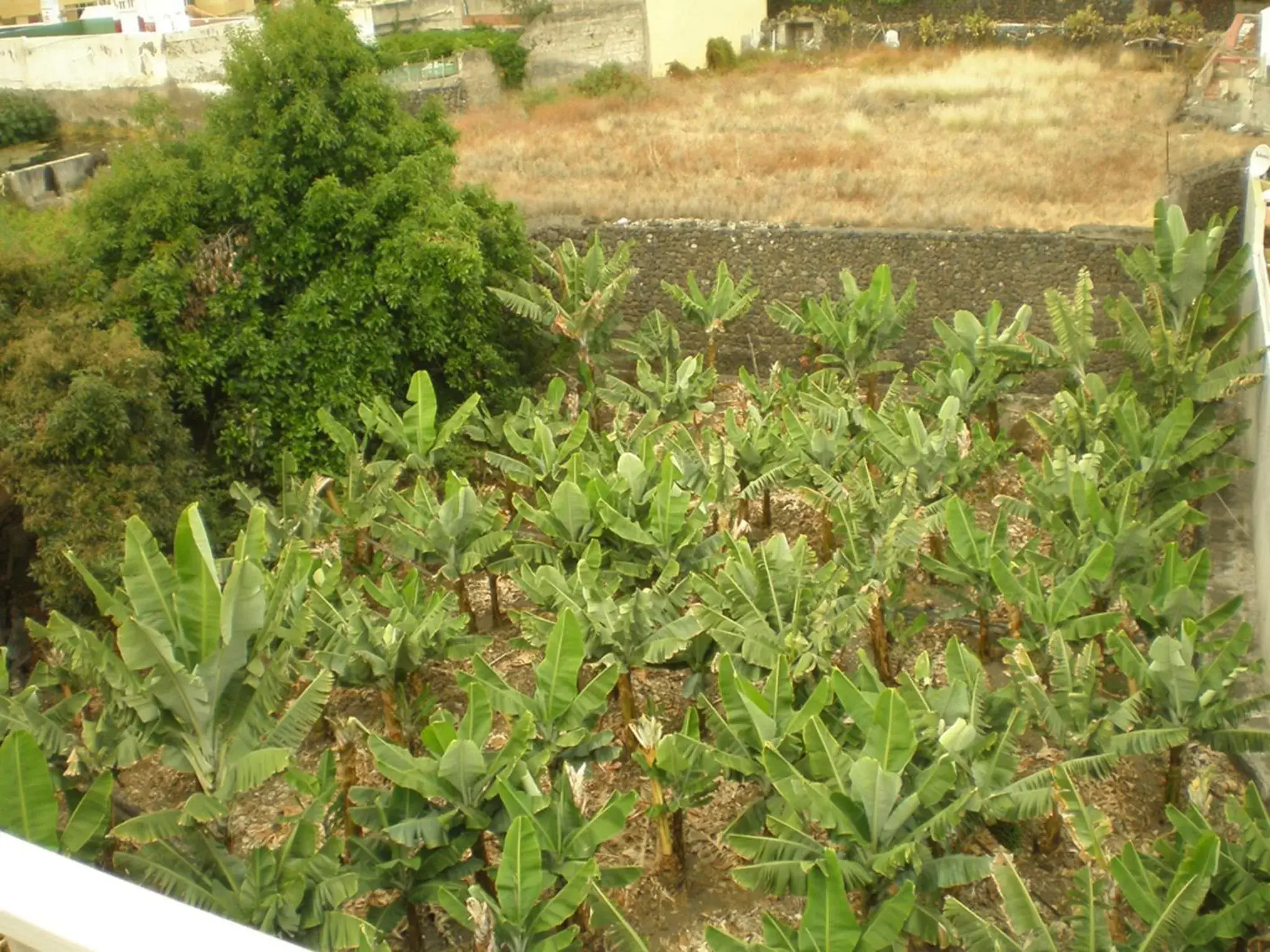 View (from property/room) in Hotel Tejuma