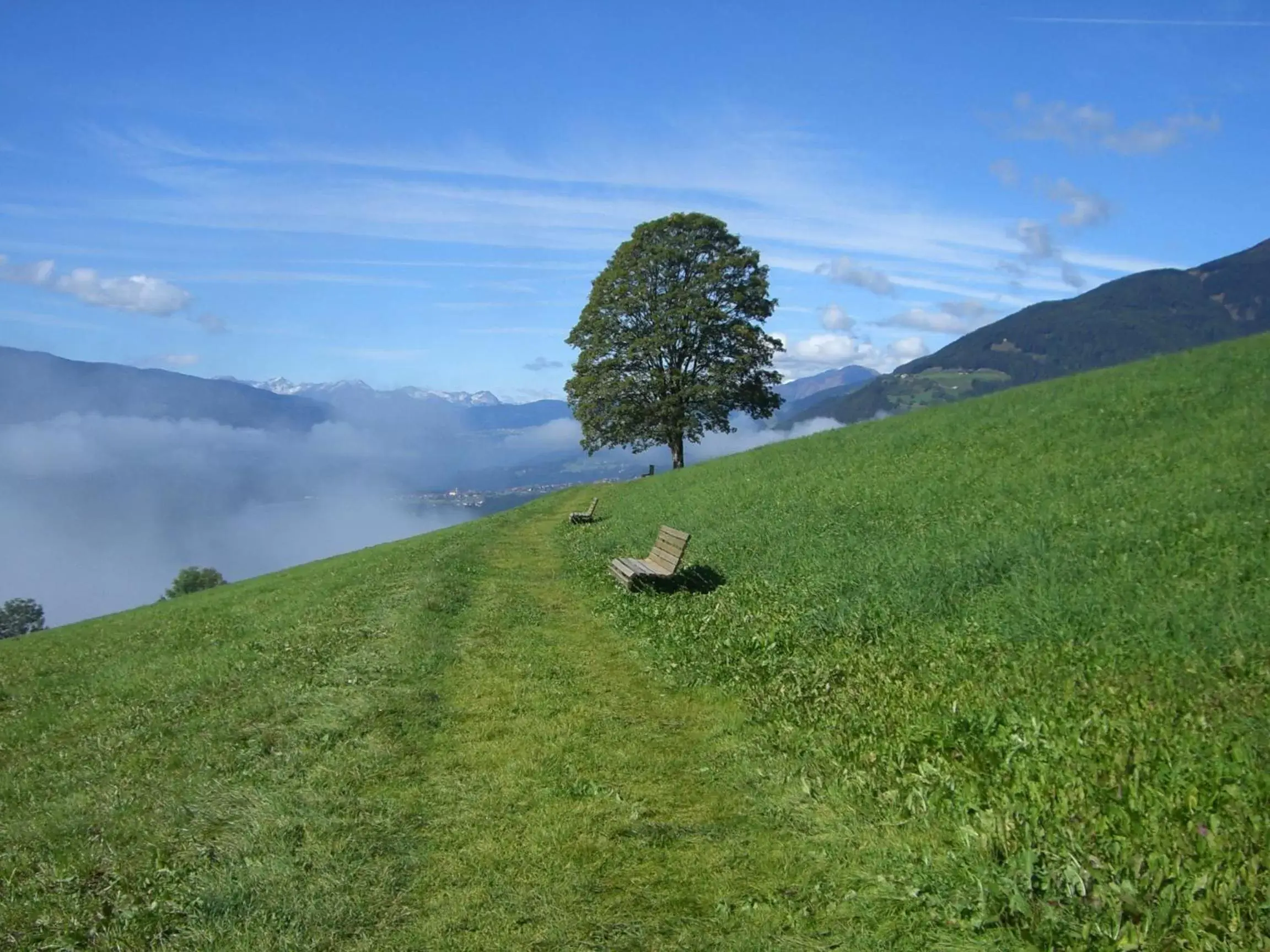 Natural landscape in Hotel Amaten