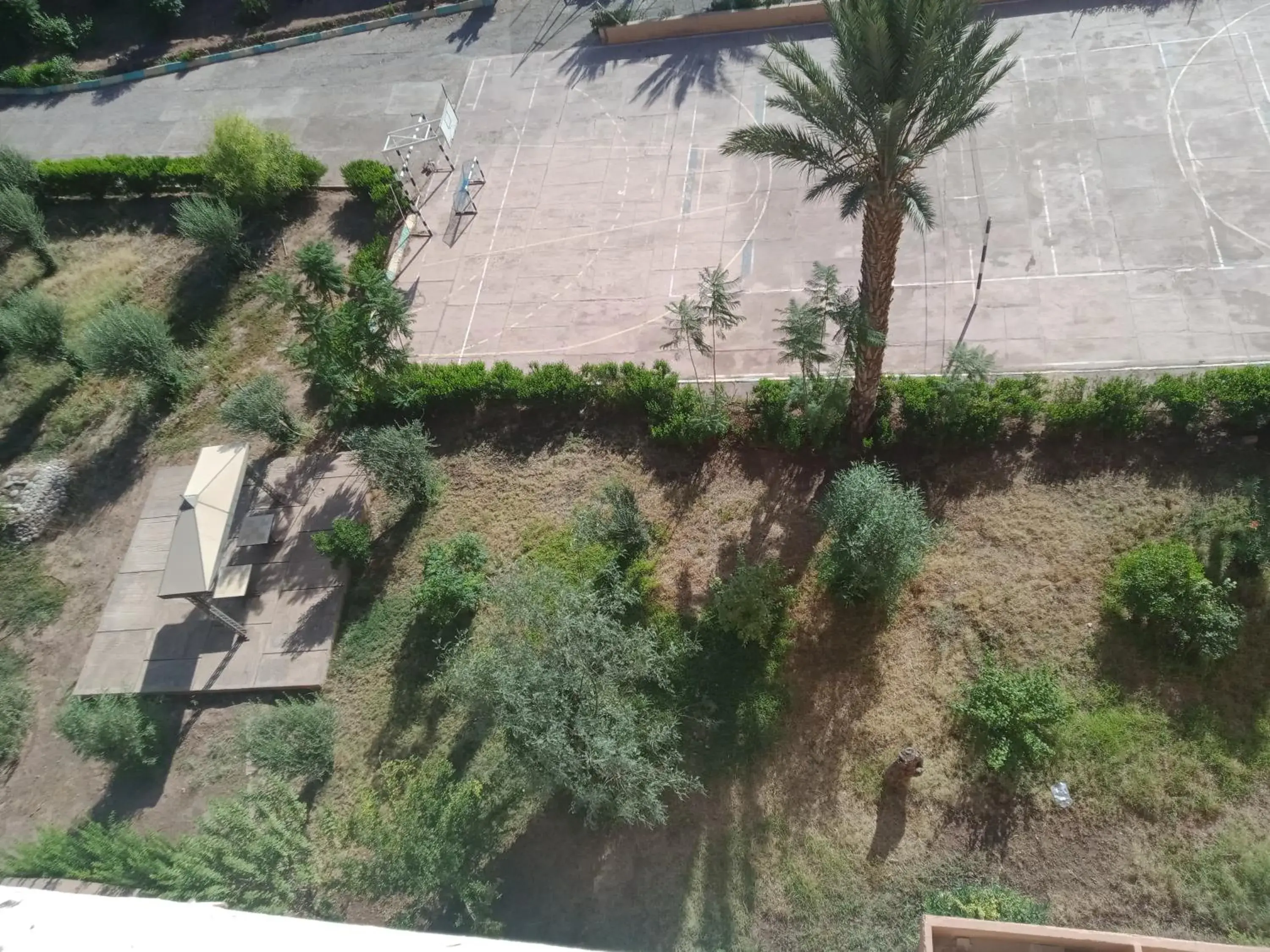 Garden in Kenzi Azghor Hotel