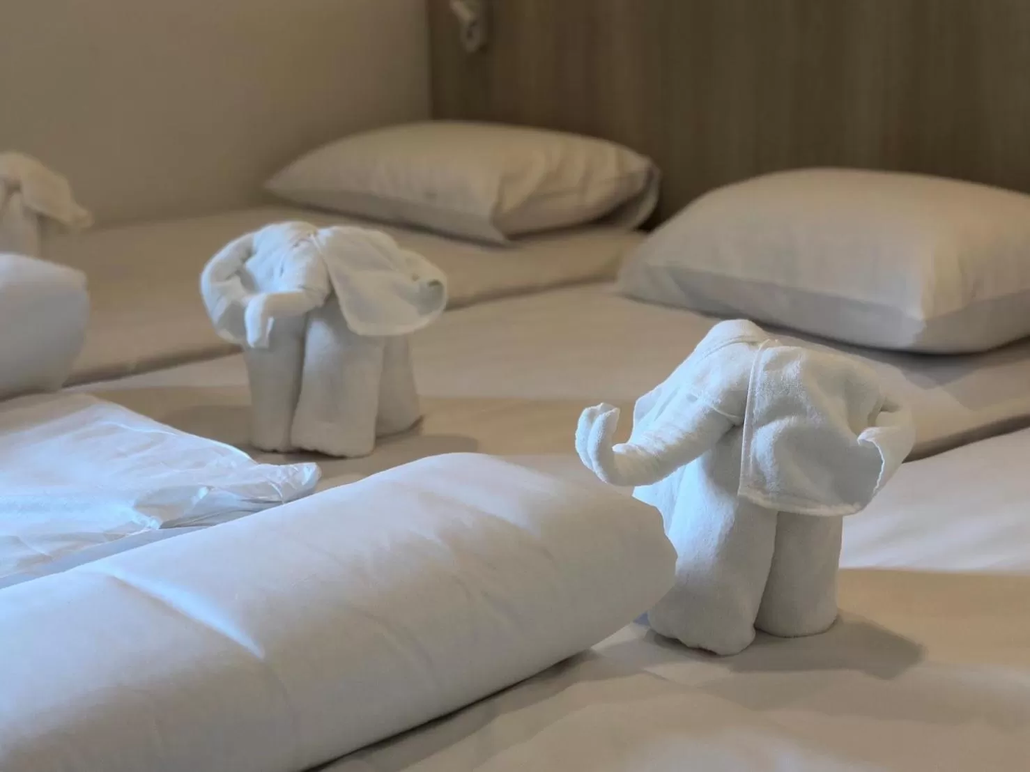 Bed in Nappiness Hotel