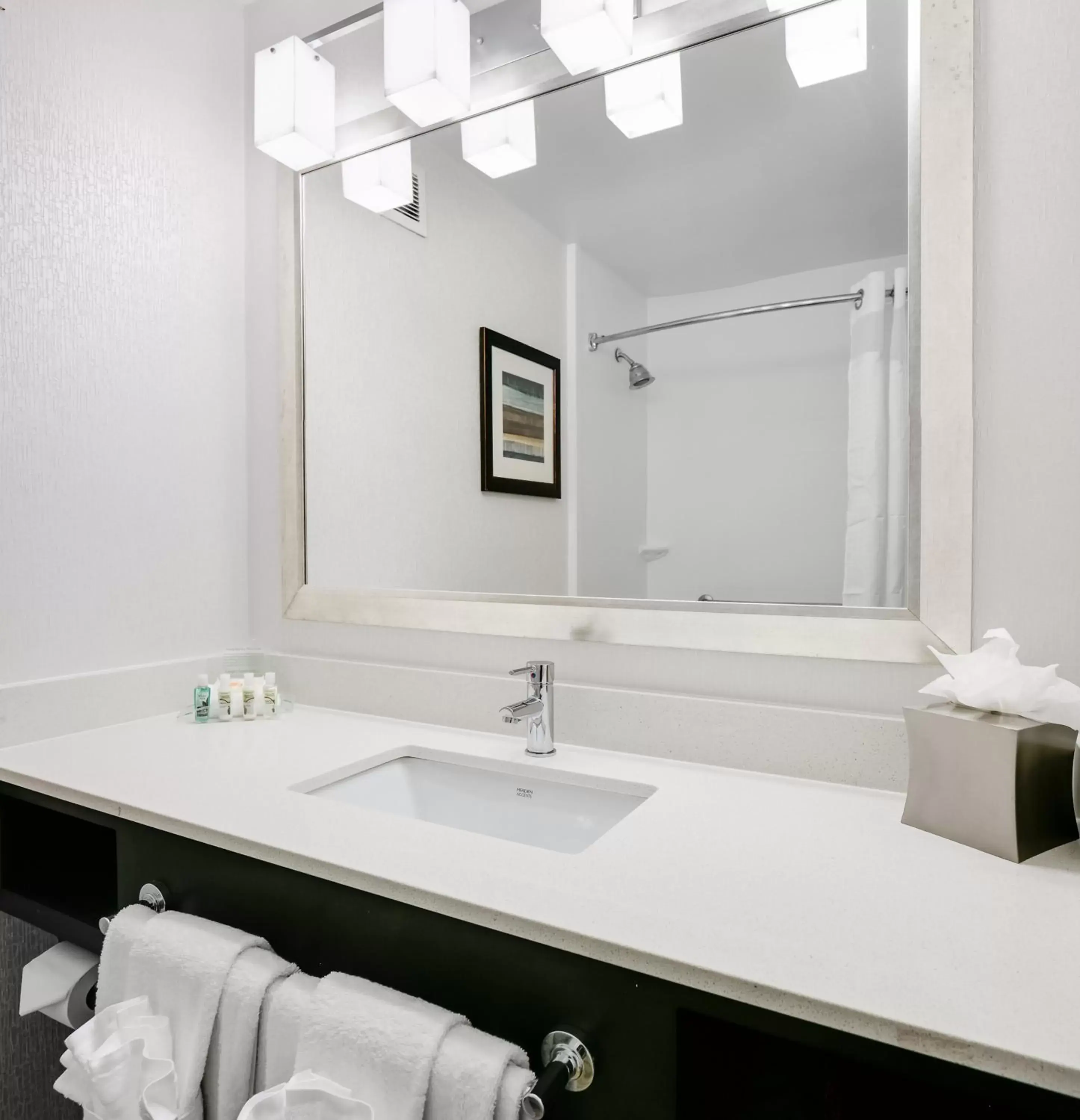 Bathroom in Holiday Inn Hotel & Suites Overland Park-West, an IHG Hotel