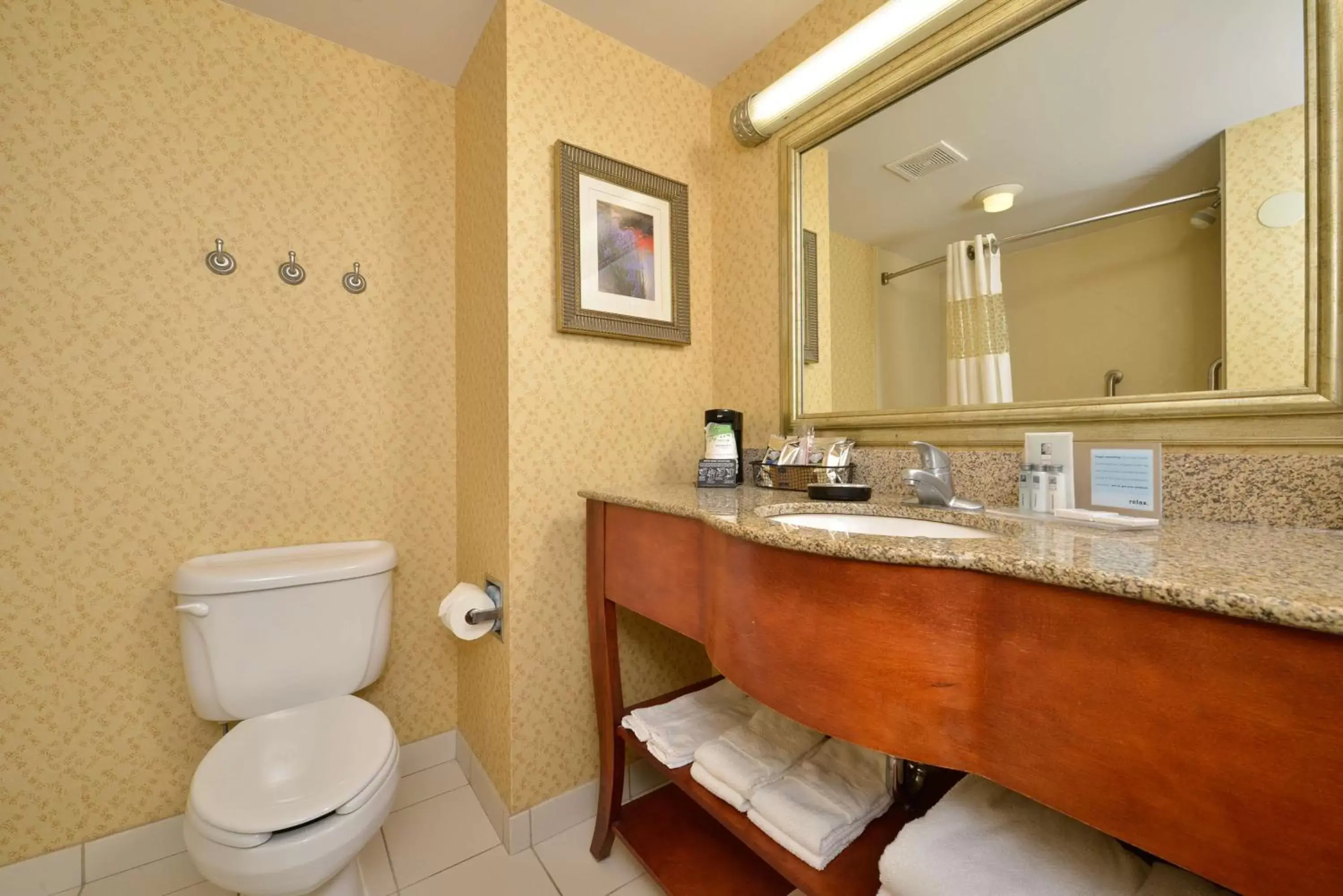 Bathroom in Hampton Inn Farmville