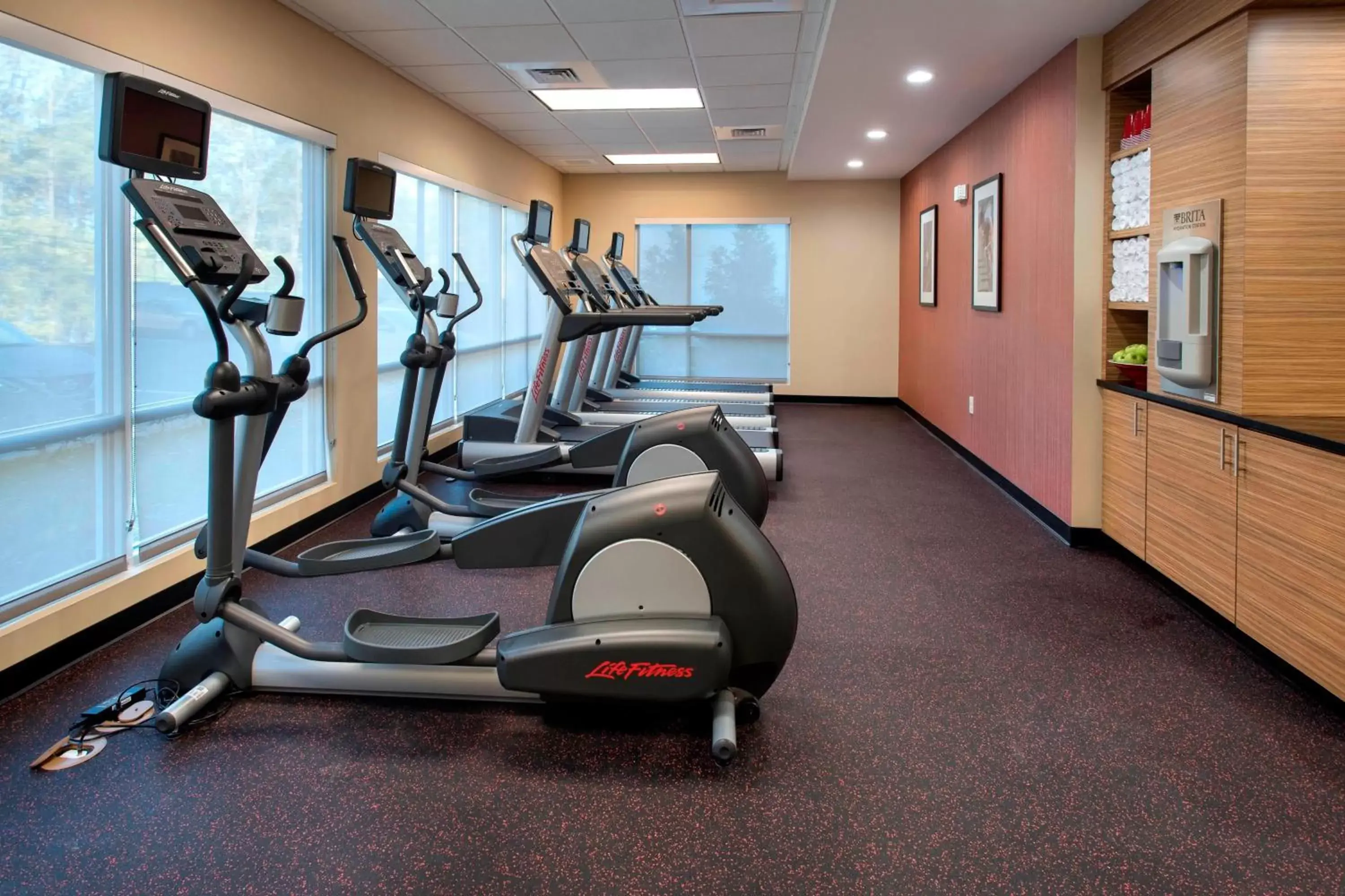 Fitness centre/facilities, Fitness Center/Facilities in TownePlace Suites by Marriott Nashville Goodlettsville