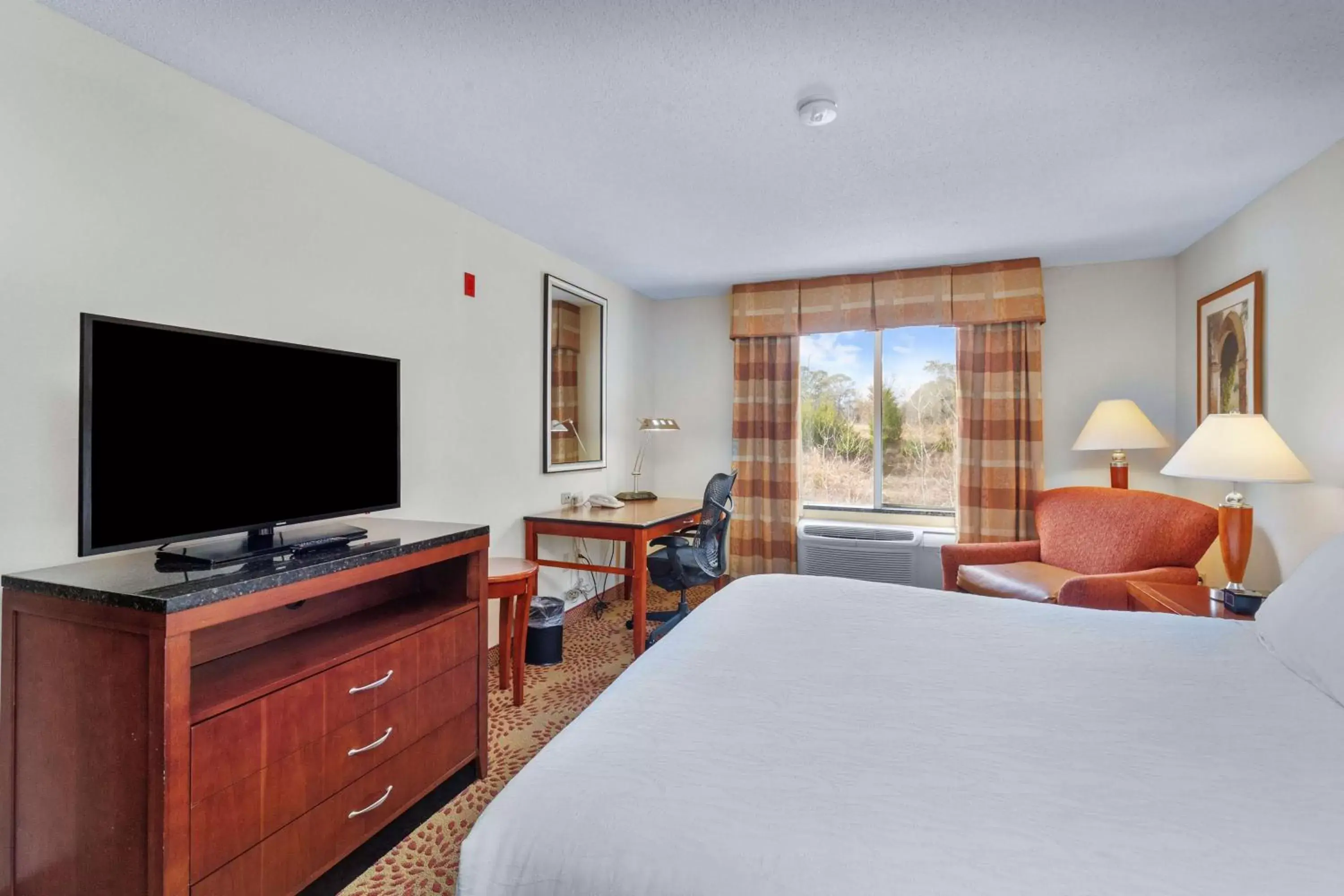Bedroom, TV/Entertainment Center in Hilton Garden Inn Starkville