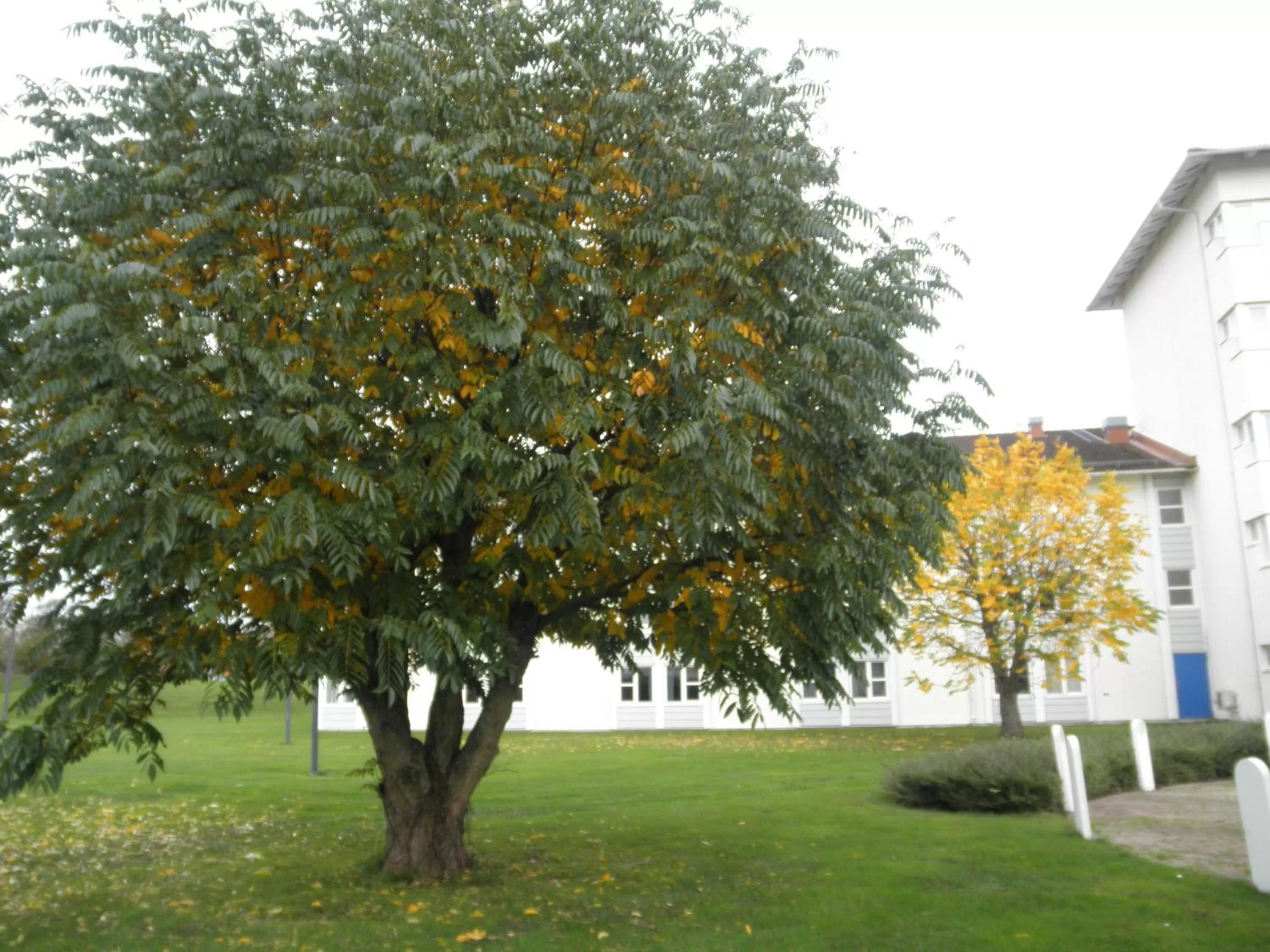 Garden in Hotell Erikslund