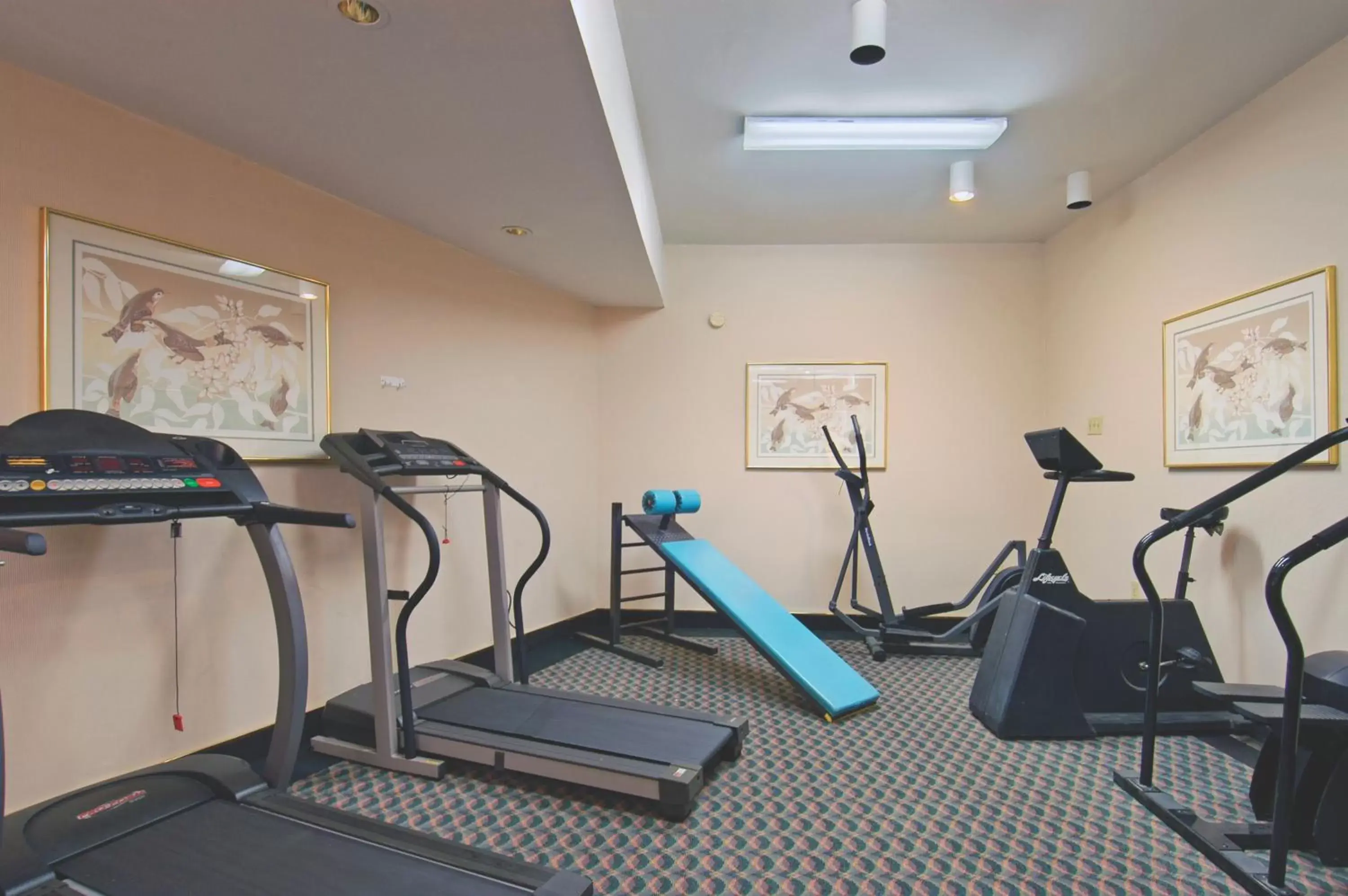 Fitness centre/facilities, Fitness Center/Facilities in Tiki Resort