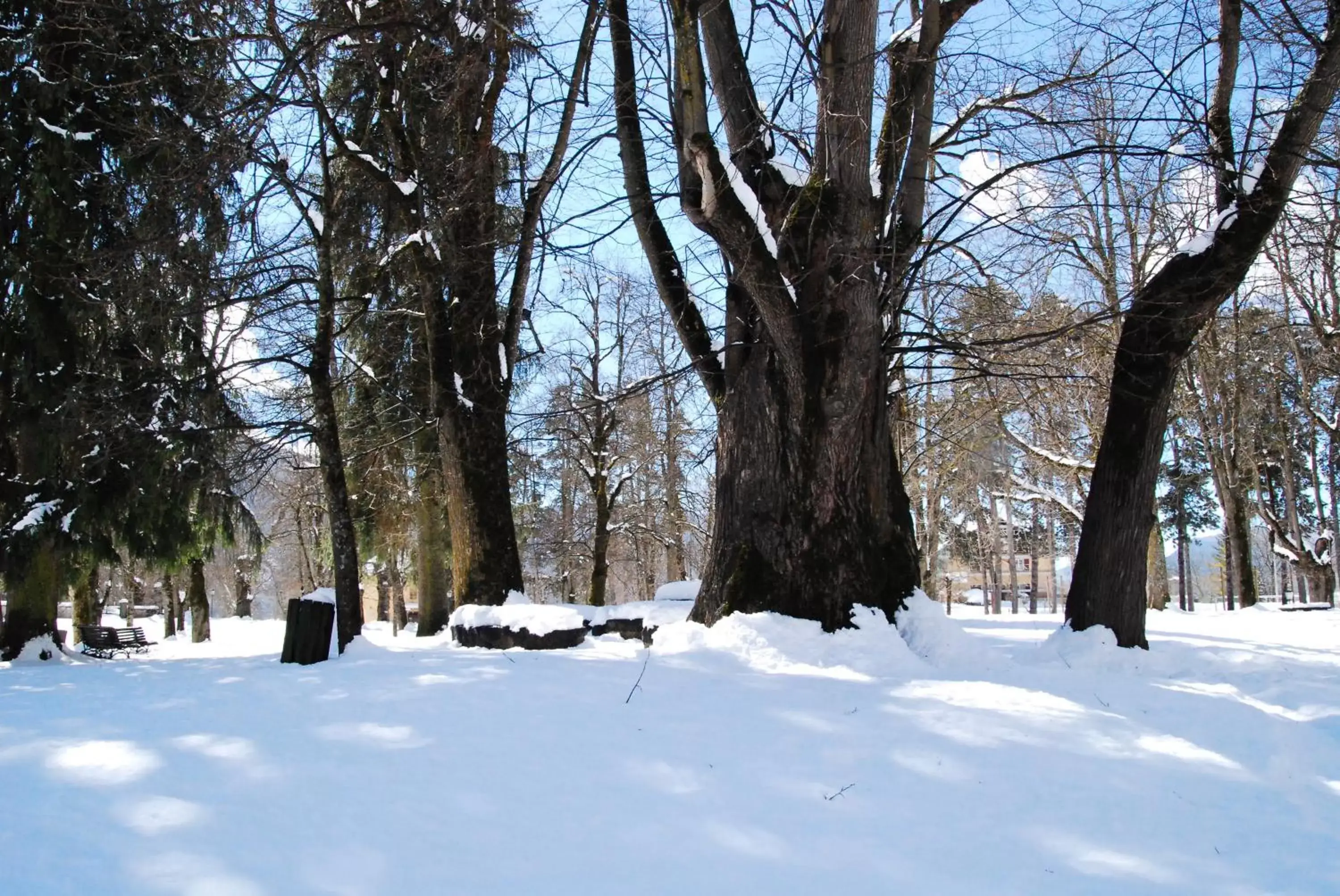 Nearby landmark, Winter in Hotel San Valier