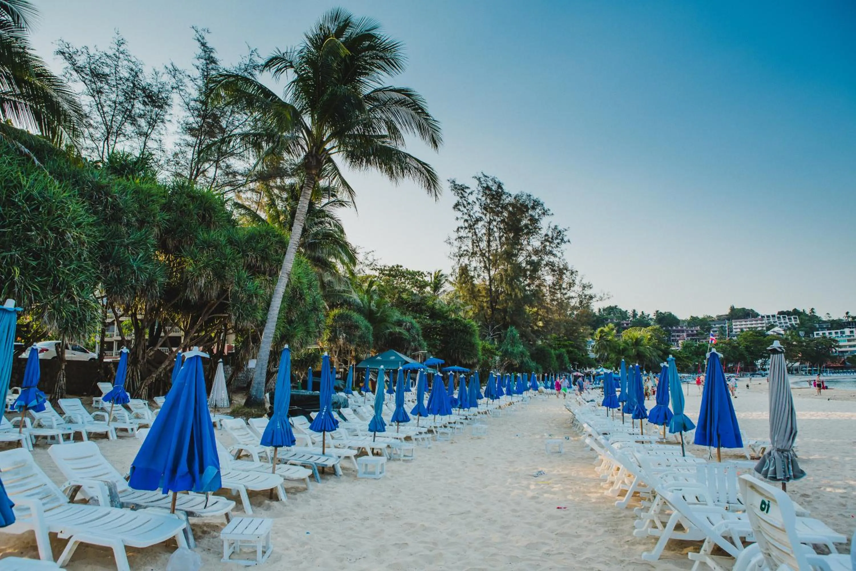 Nearby landmark in Casa de Coral Boutique Hotel