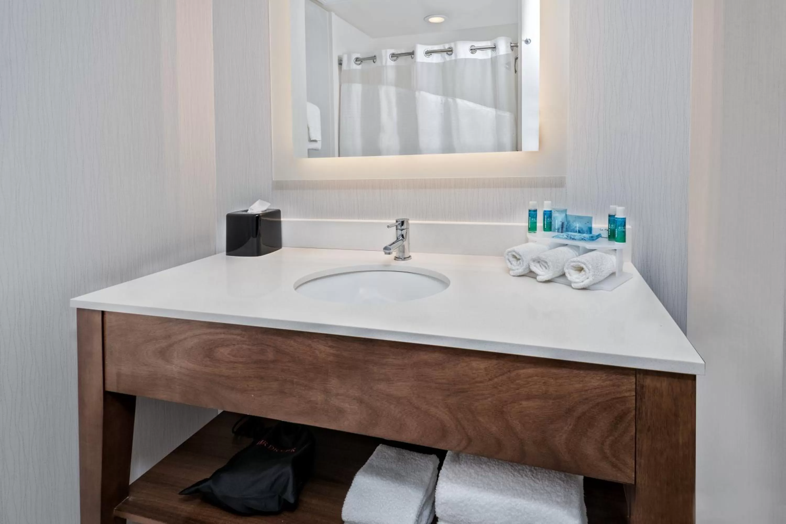 Bathroom in Holiday Inn Express & Suites Round Rock - Austin N by IHG