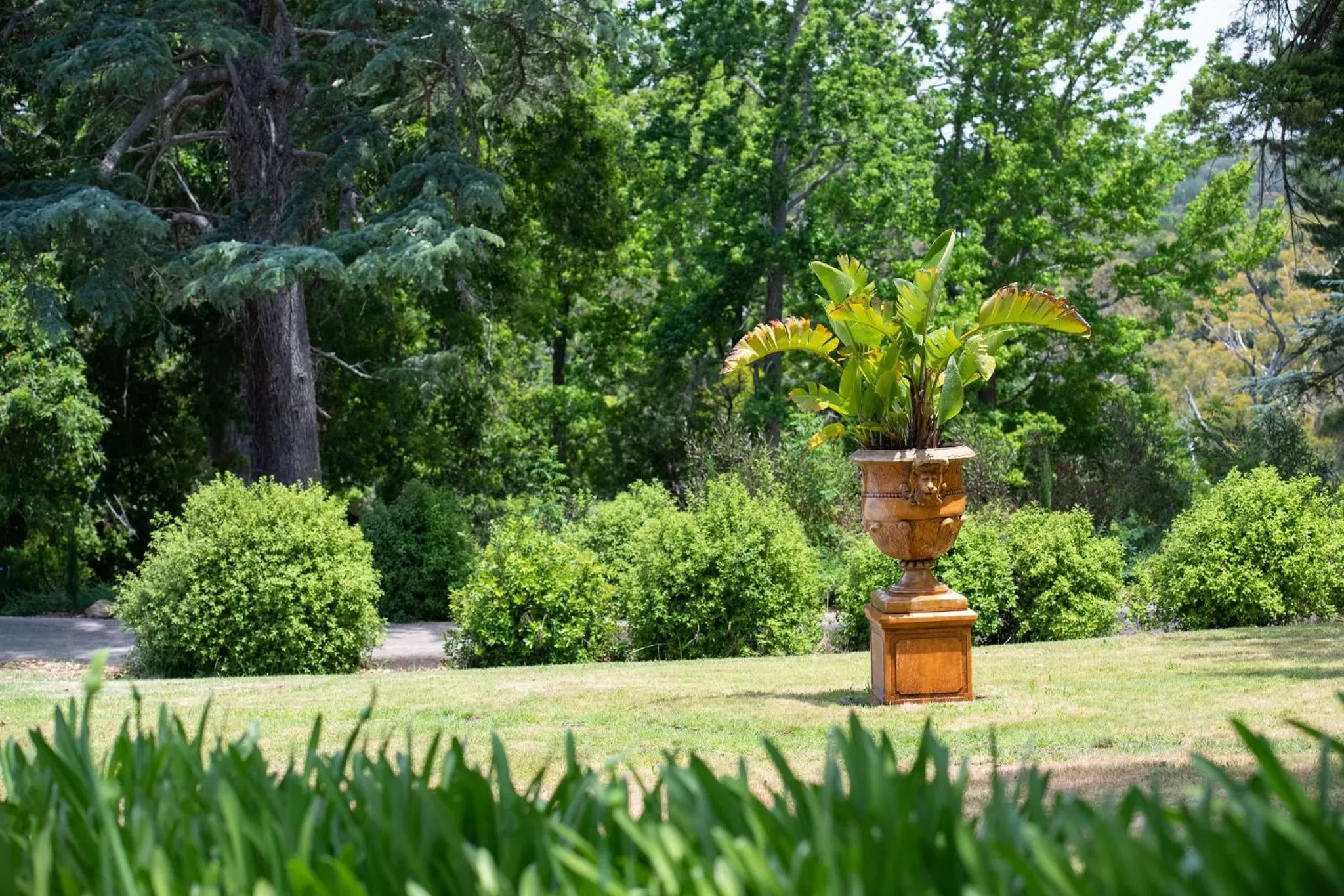 Garden in Pirralilla Estate Adelaide Hills