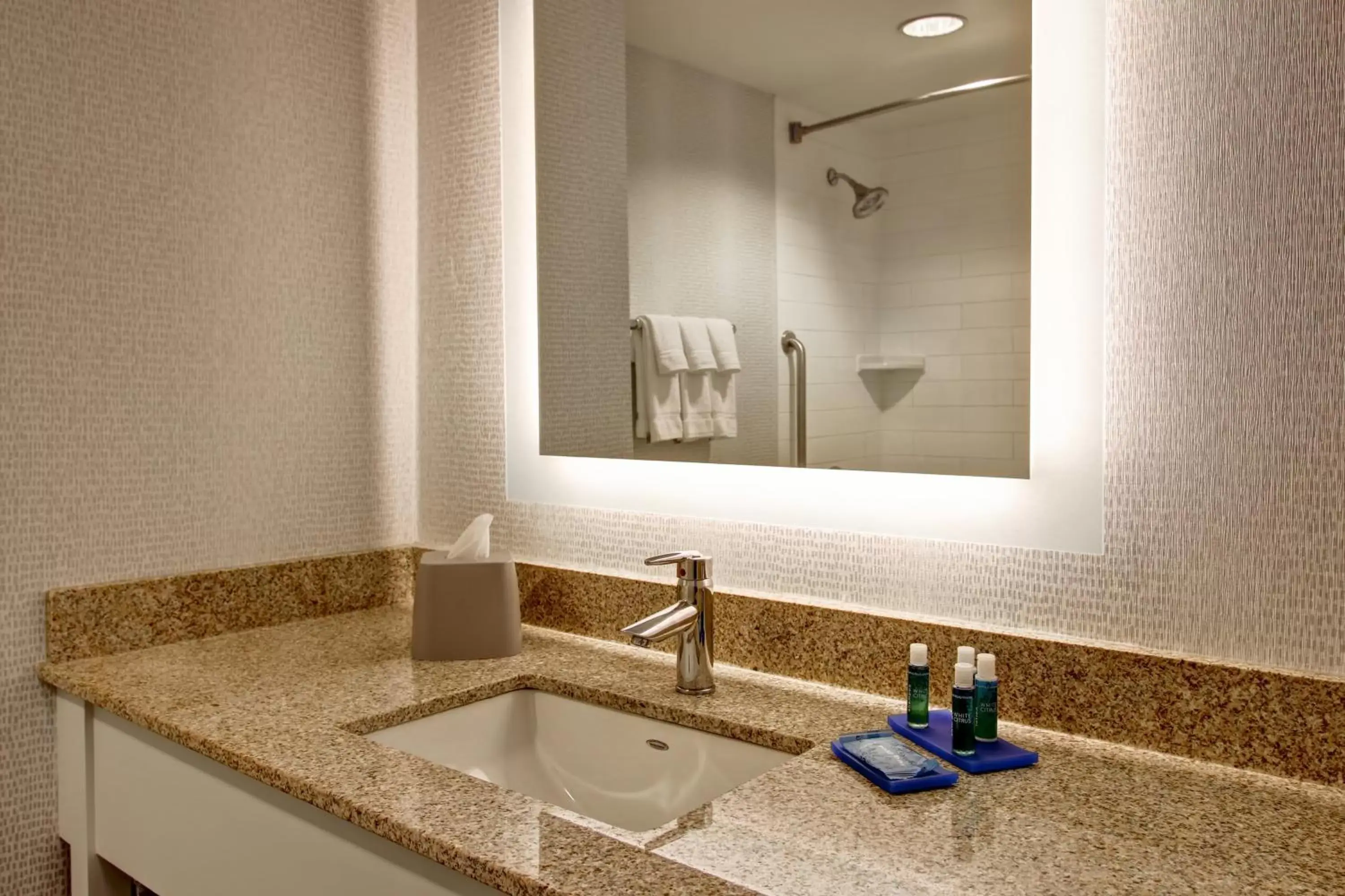 Bathroom in Holiday Inn Express Hotel & Suites Toronto - Markham, an IHG Hotel