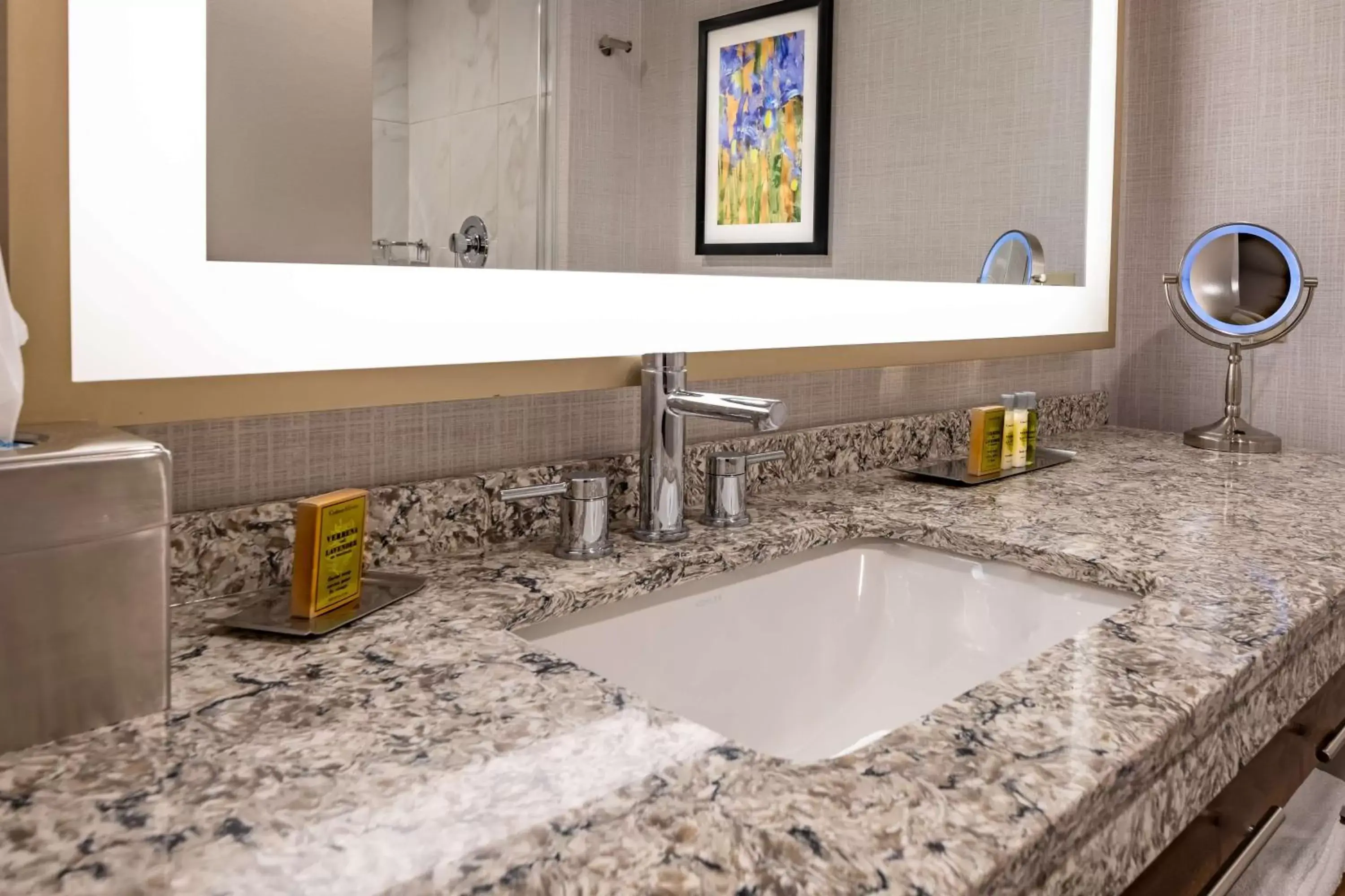 Bathroom in DoubleTree by Hilton Dallas-Farmers Branch