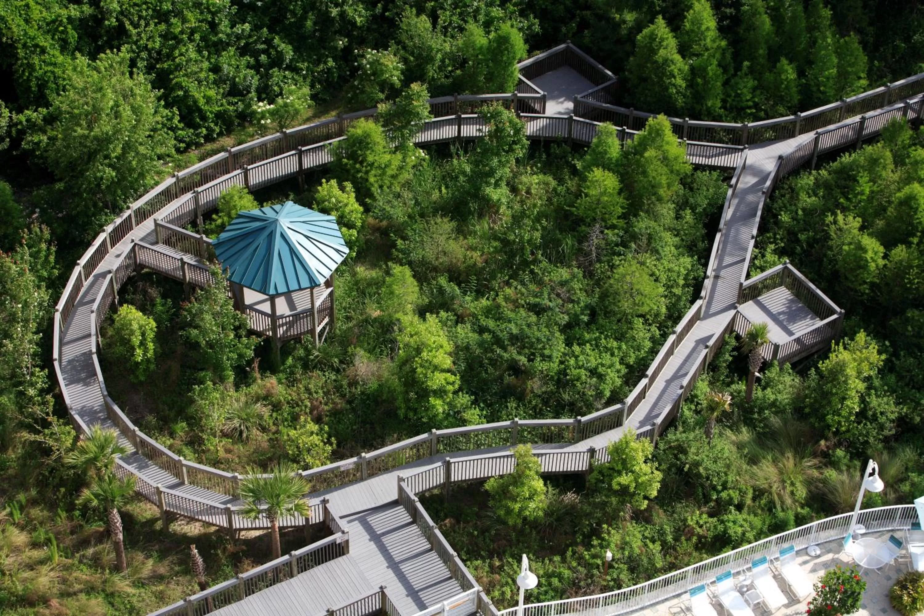 Decorative detail, Bird's-eye View in Blue Heron Beach Resort