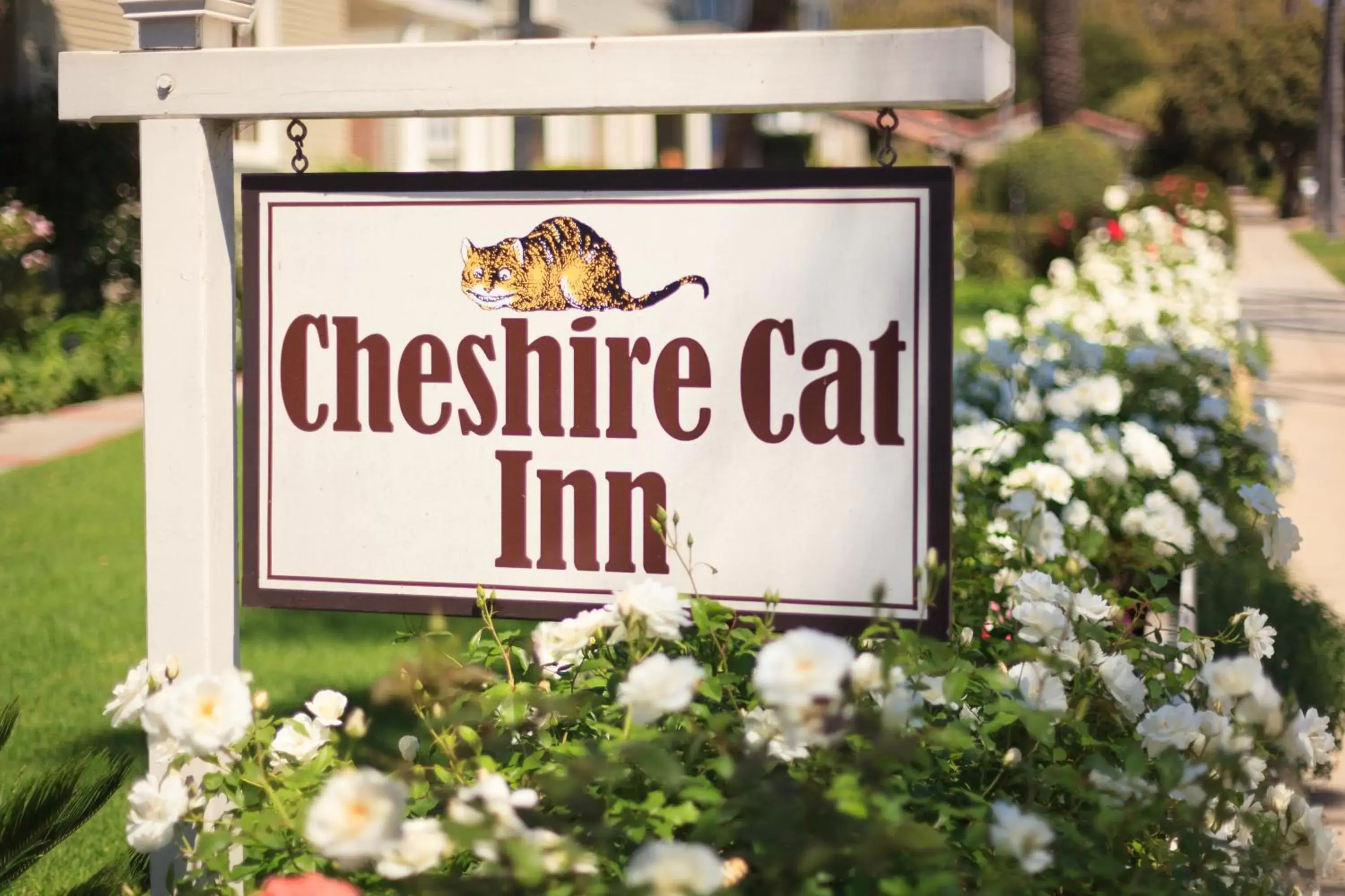 Garden, Property Logo/Sign in Cheshire Cat Inn & Cottages