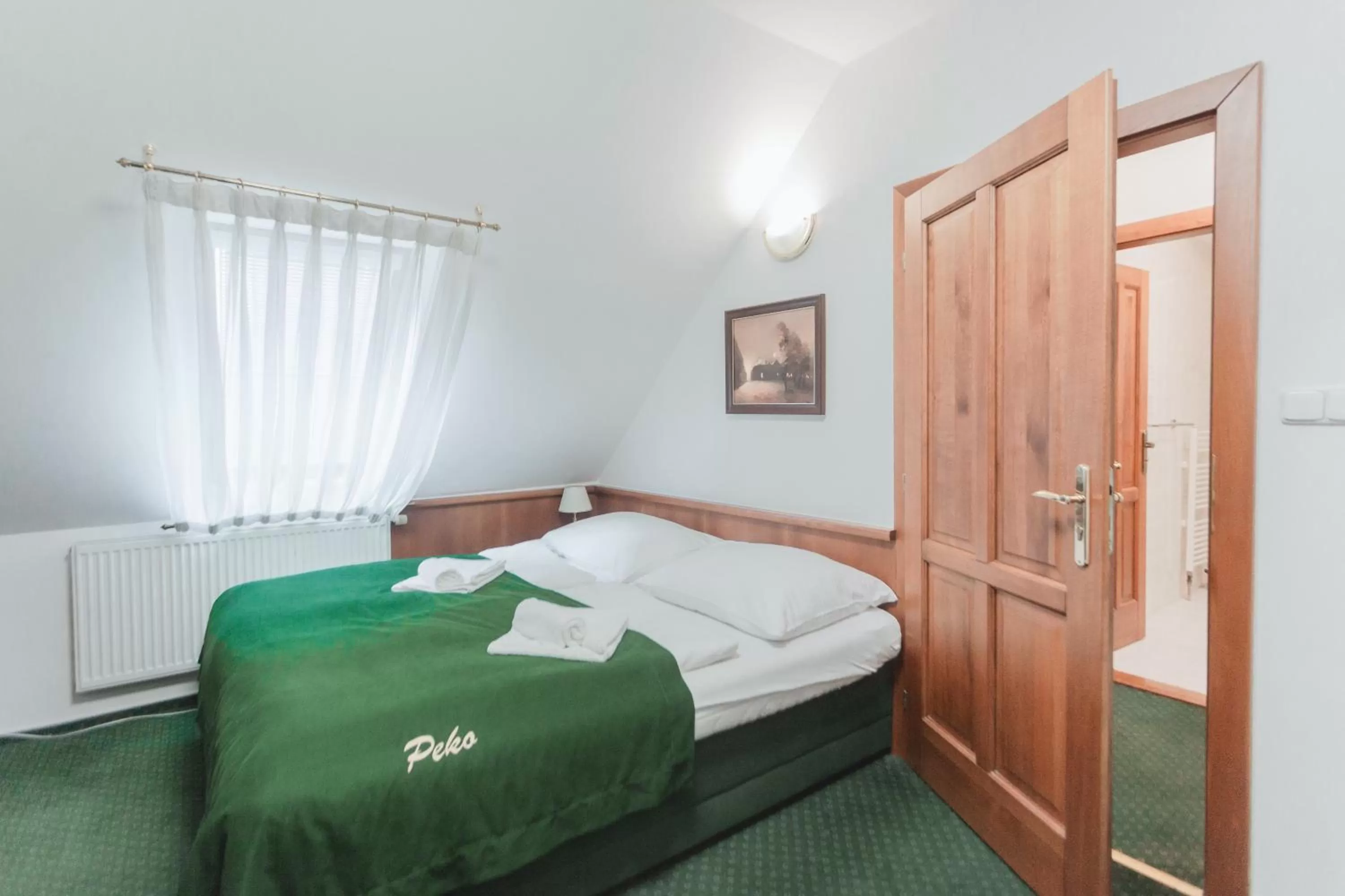 Photo of the whole room in Hotel Peko