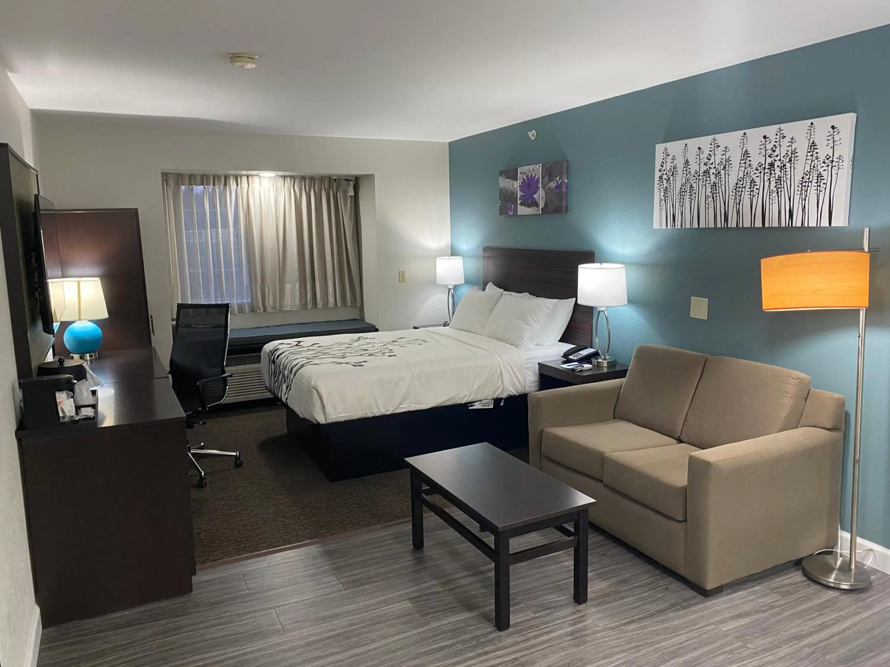 View (from property/room), Bed in Sleep Inn St Robert-Fort Leonard Wood