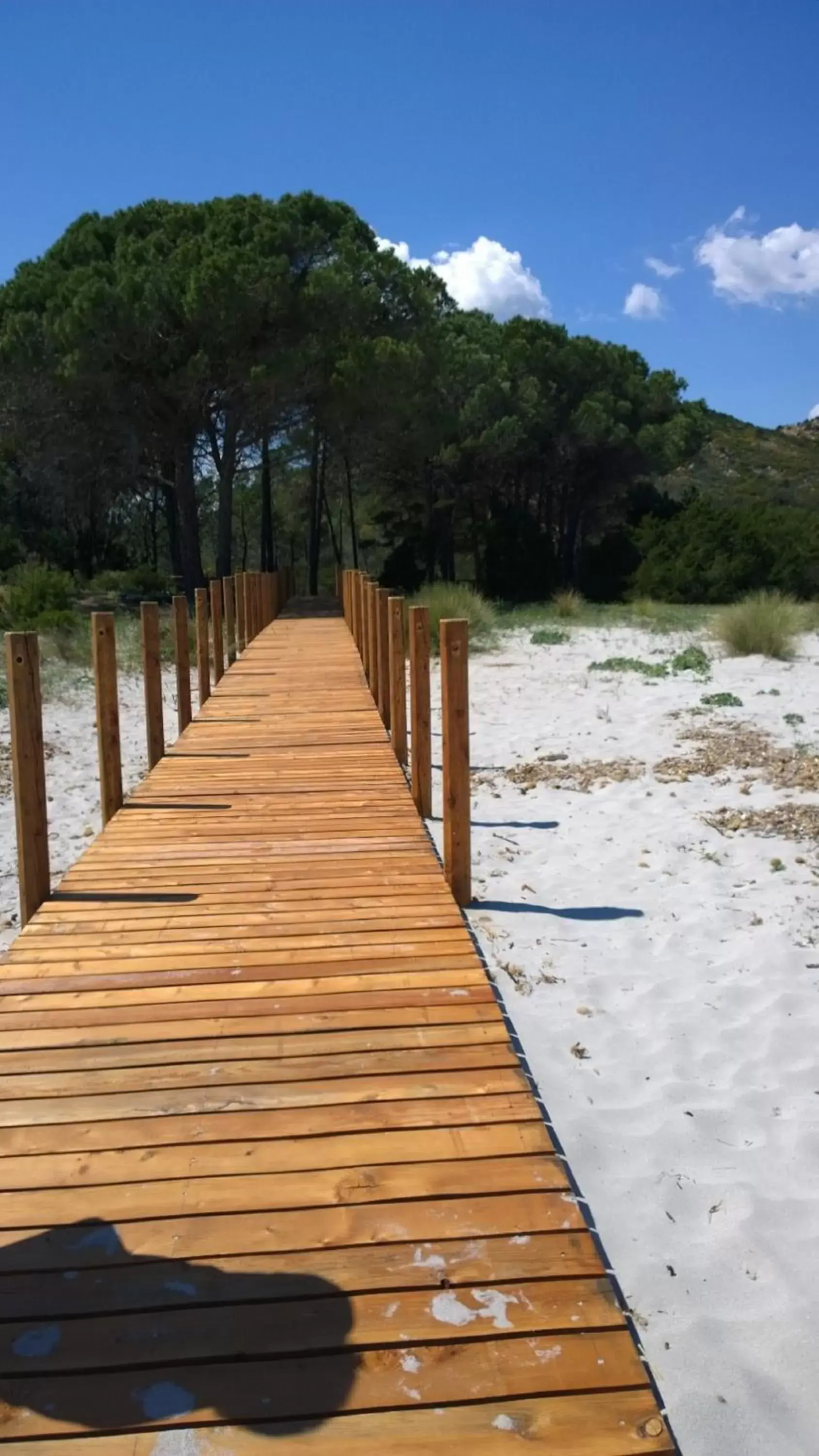 Beach in Hotel Su Barchile