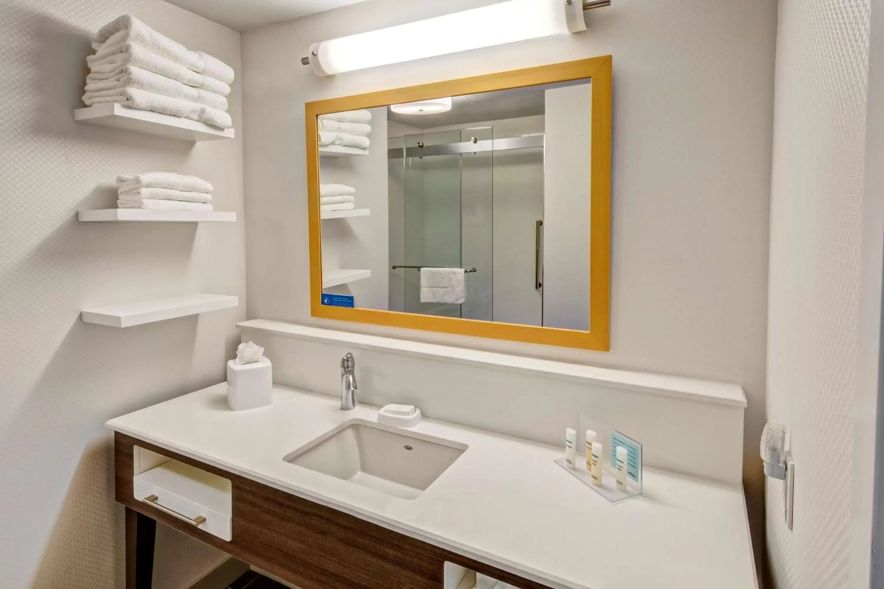 Bathroom in Hampton Inn & Suites San Jose Airport