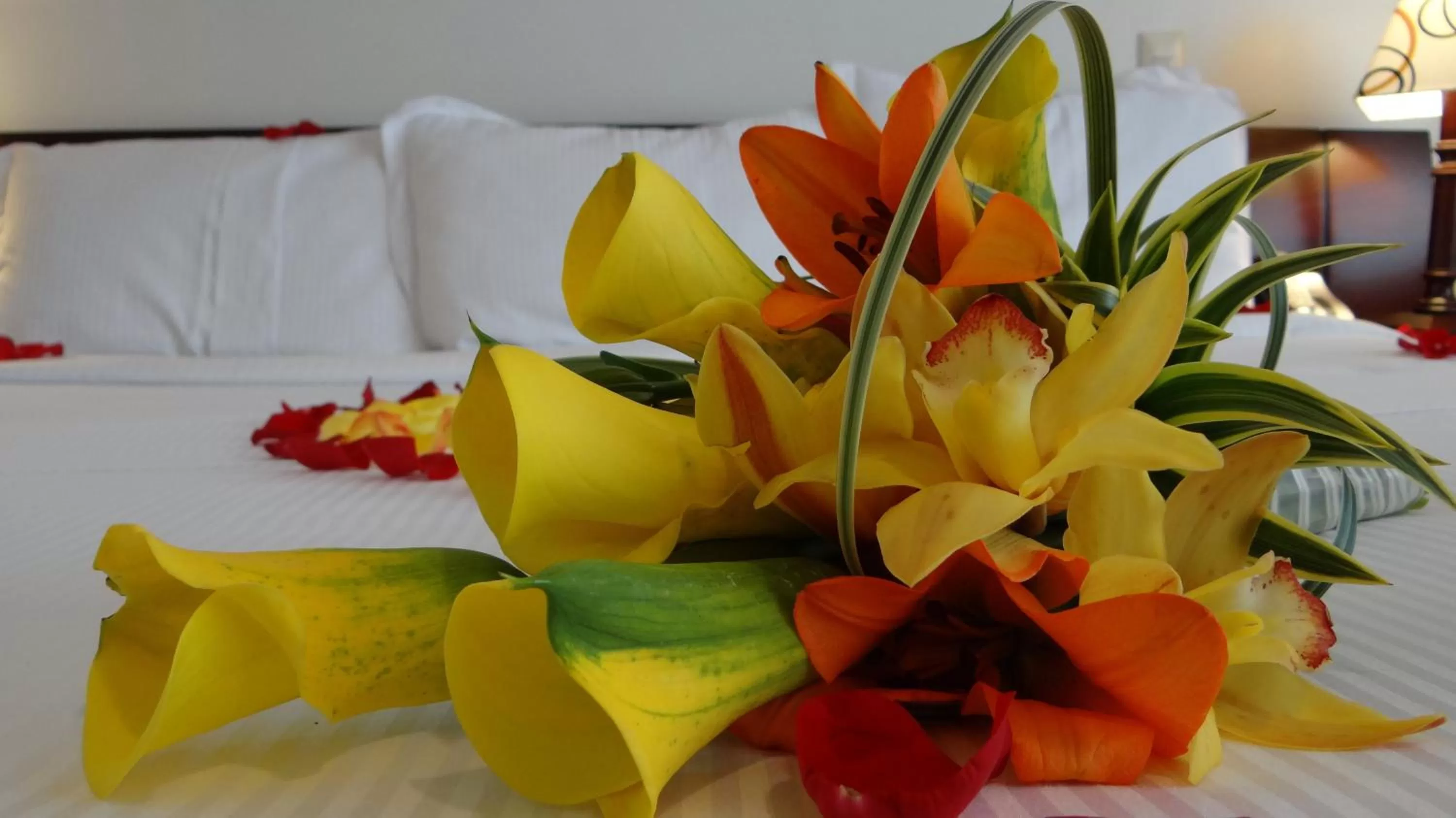 Other, Bed in Hotel Platinum Suite