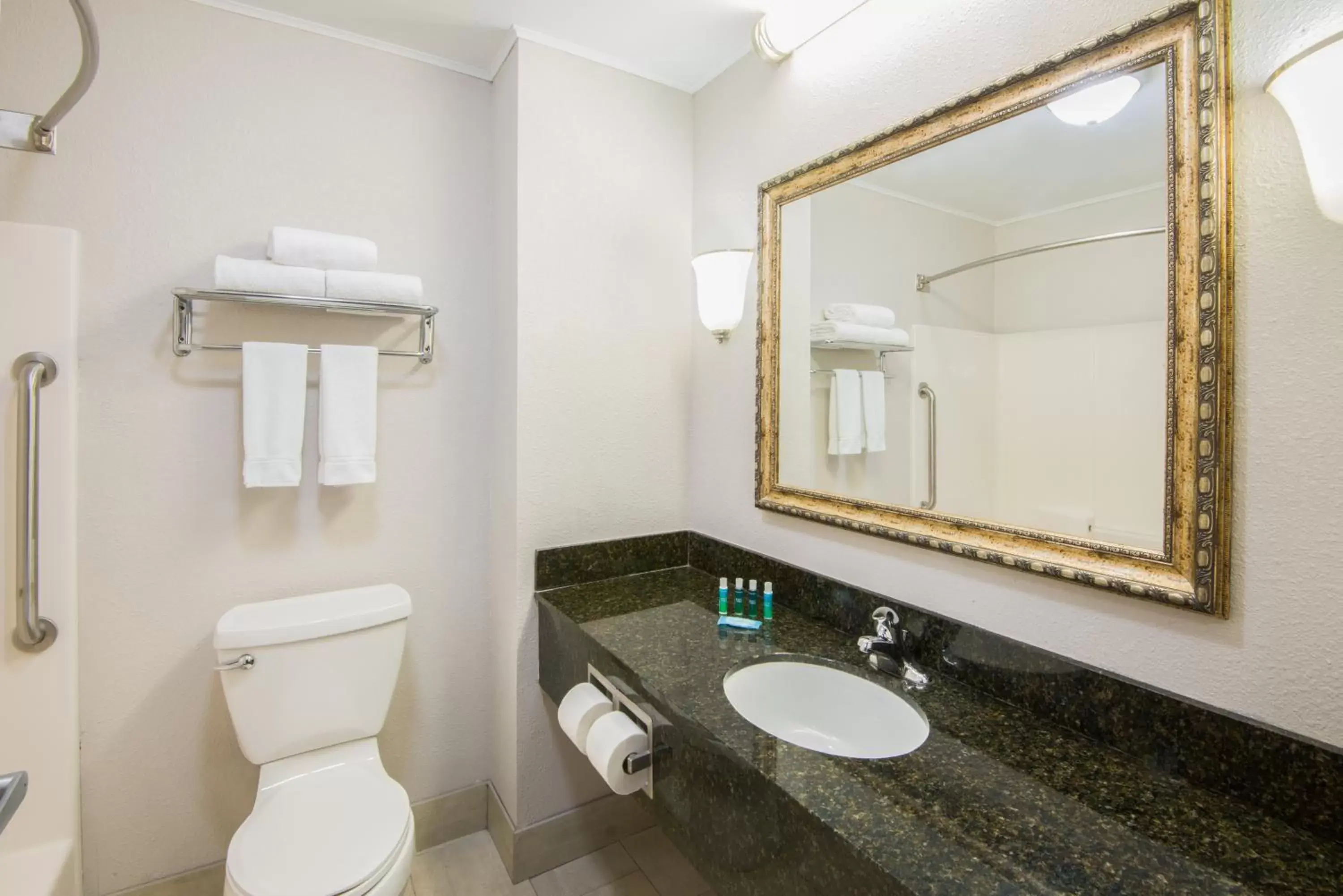 Bathroom in Holiday Inn Express Cleveland Airport - Brook Park, an IHG Hotel