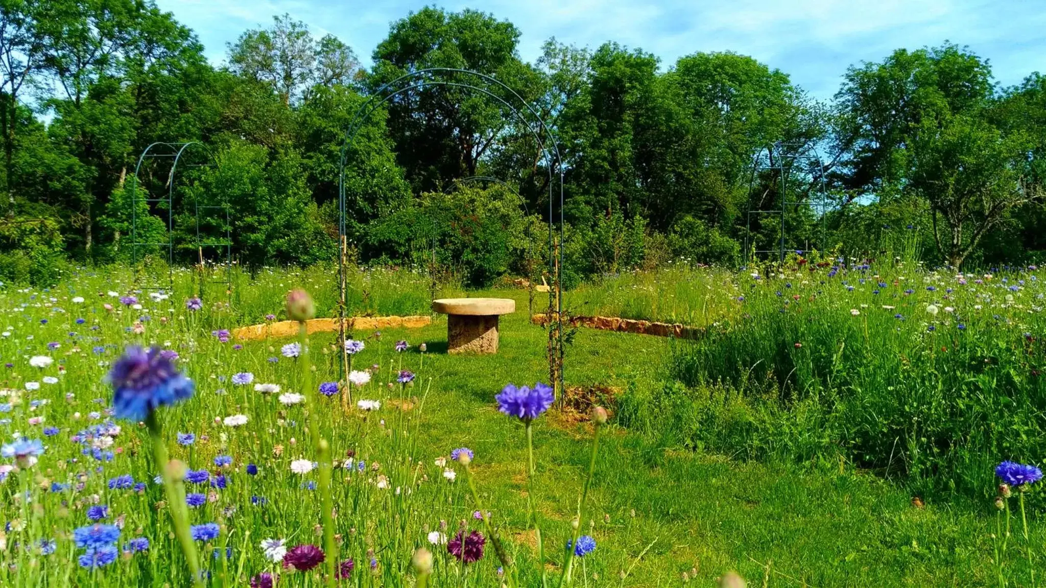 Garden in Jardin des Sens, la Rente d'Eguilly