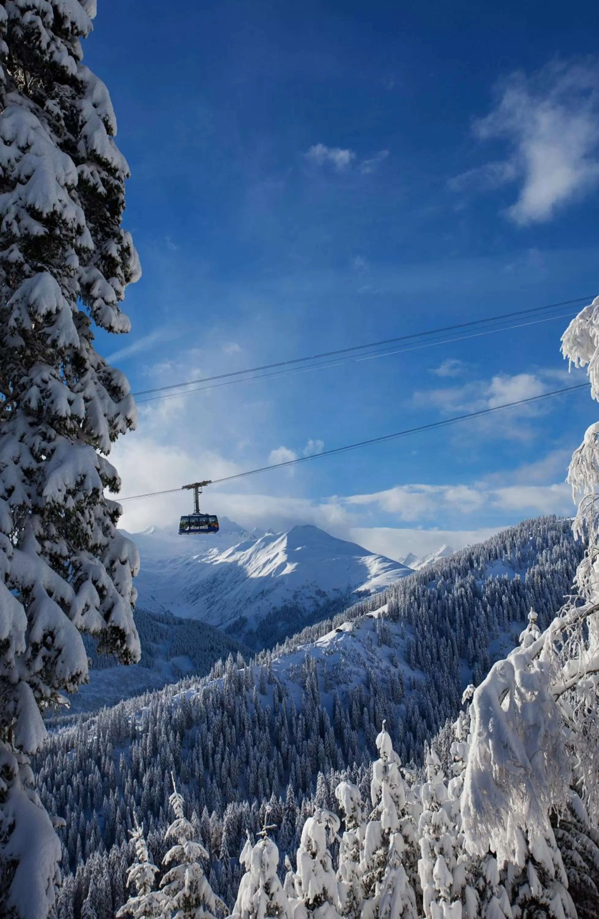 Natural landscape in Catrina Lodge