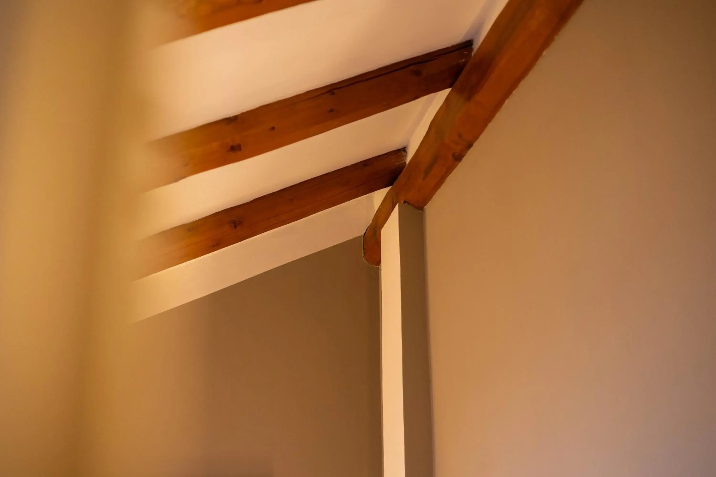 Decorative detail, Bunk Bed in Hotel La Fert