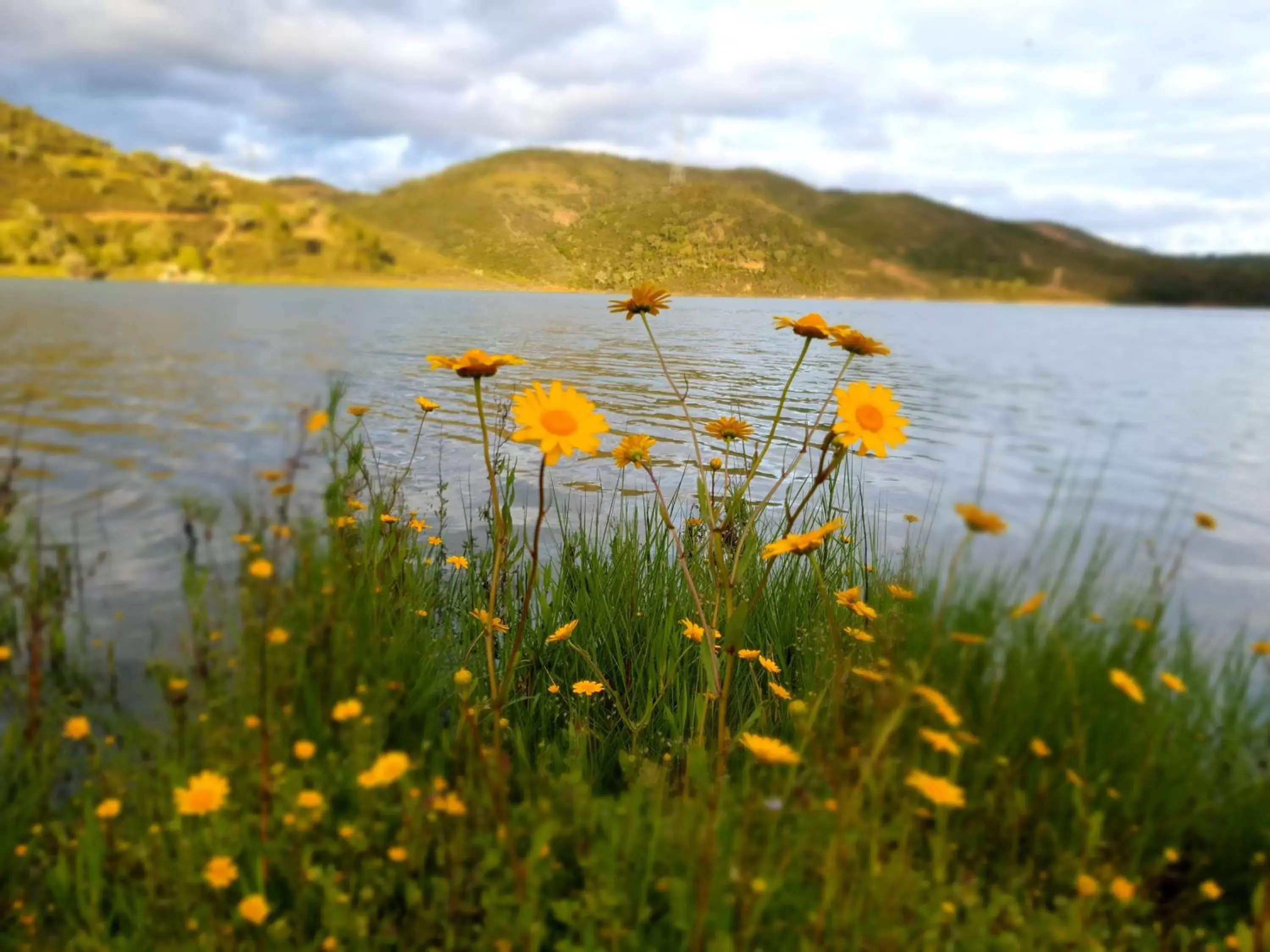 Natural landscape in Quinta Pedra Dos Bicos