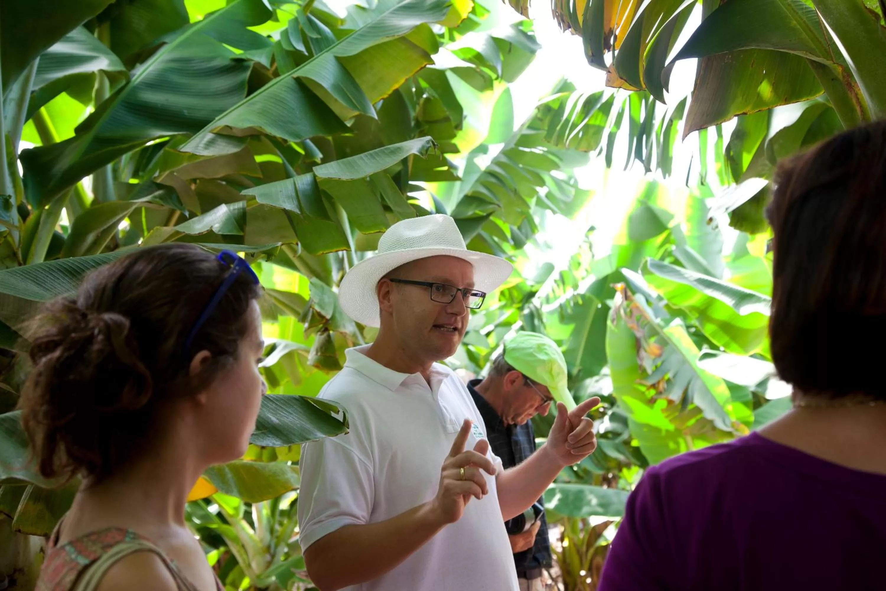 Entertainment in Hotel Jardín Tecina