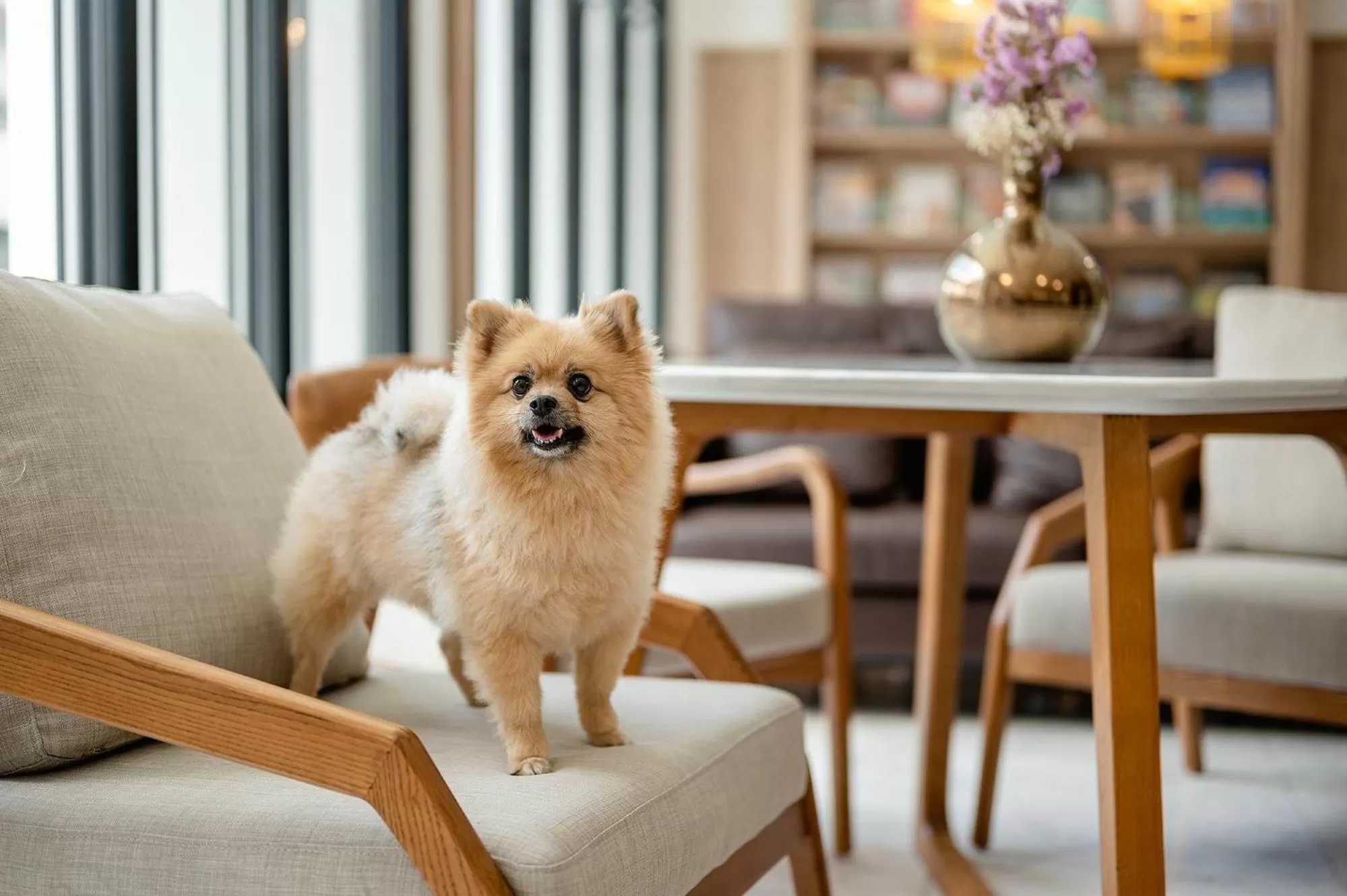 Pets in Oakwood Hotel & Residence Bangkok