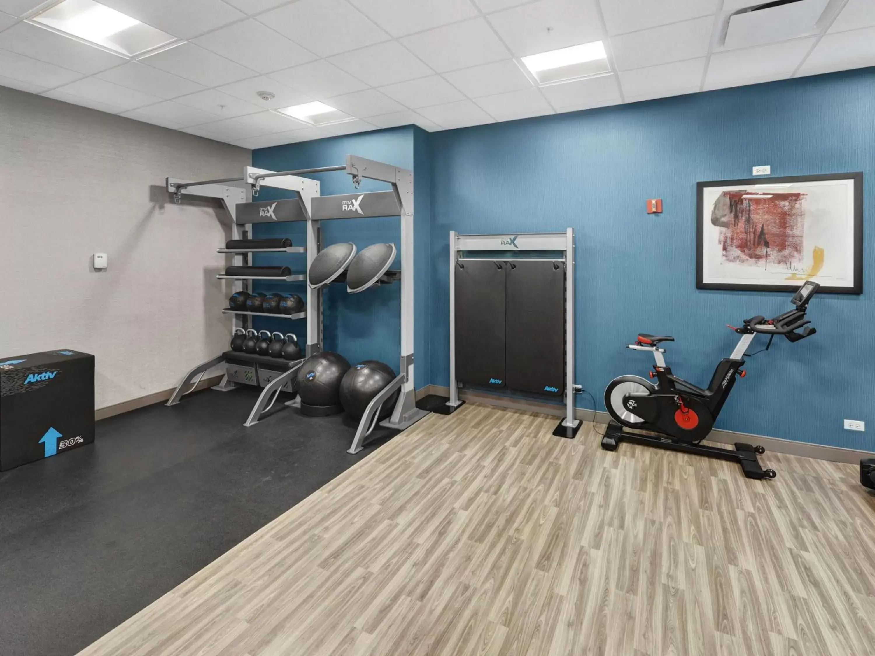 Fitness centre/facilities, Fitness Center/Facilities in Hampton Inn & Suites Chicago-Downtown