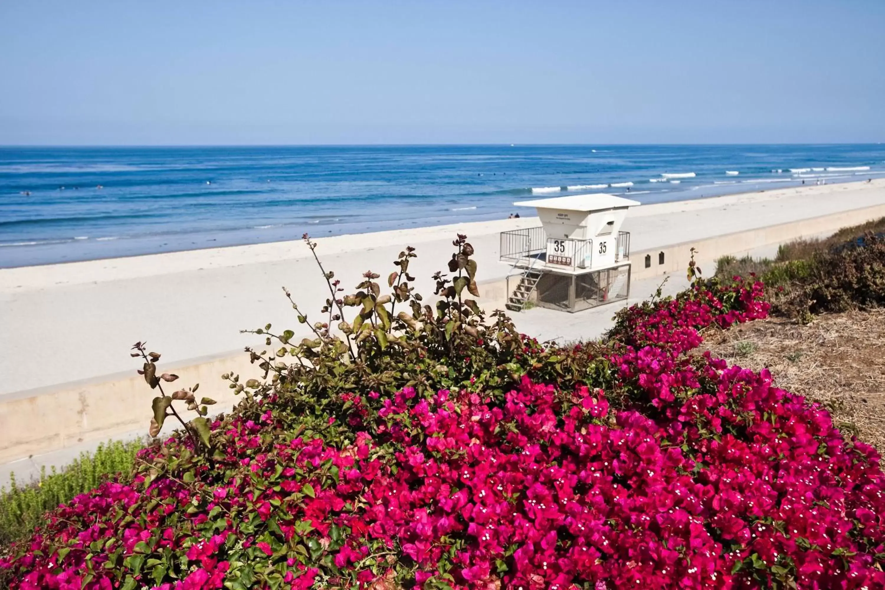 Beach in Sheraton Carlsbad Resort & Spa