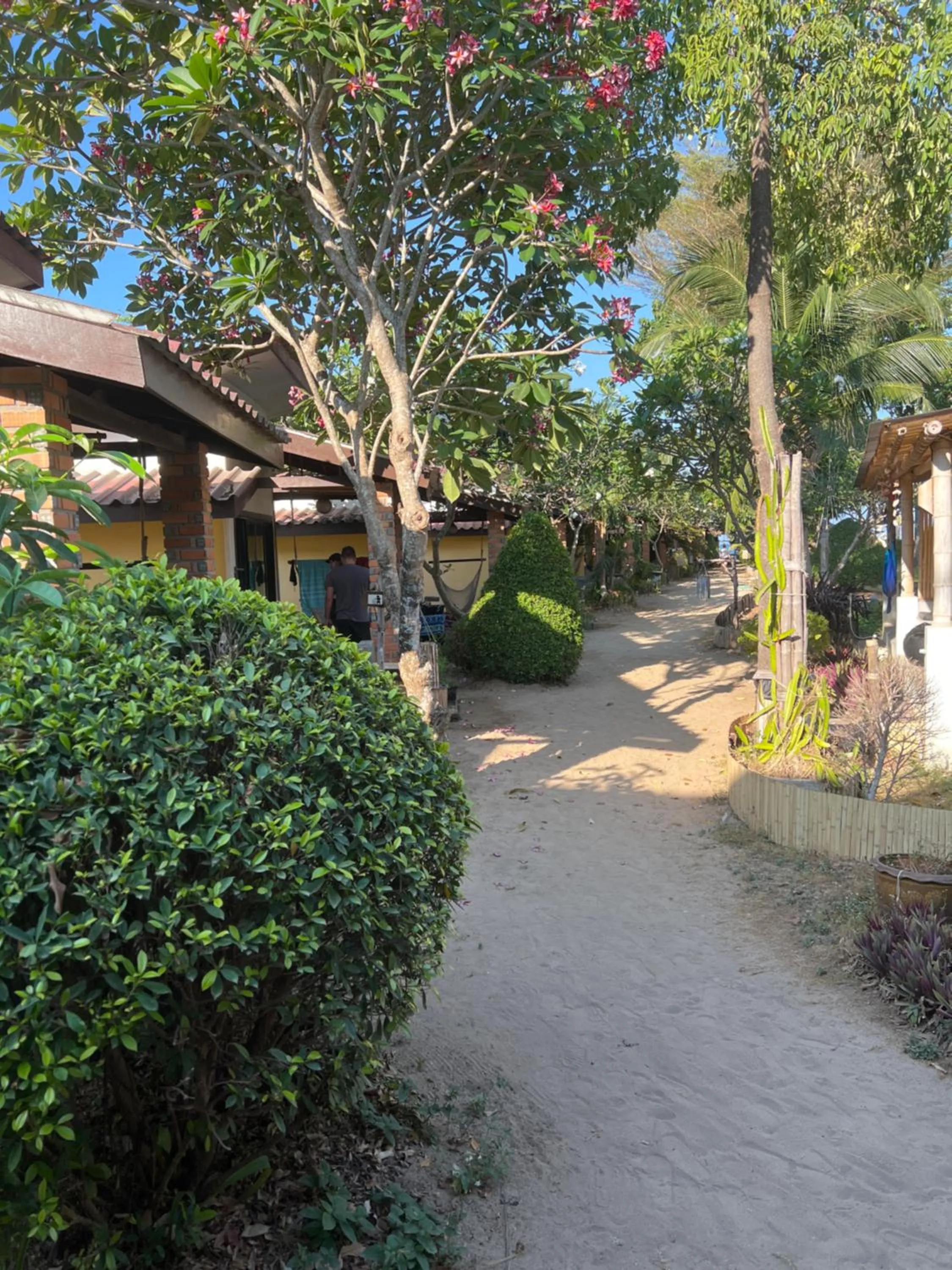 Property building in Coco Lanta Resort - SHA Extra Plus