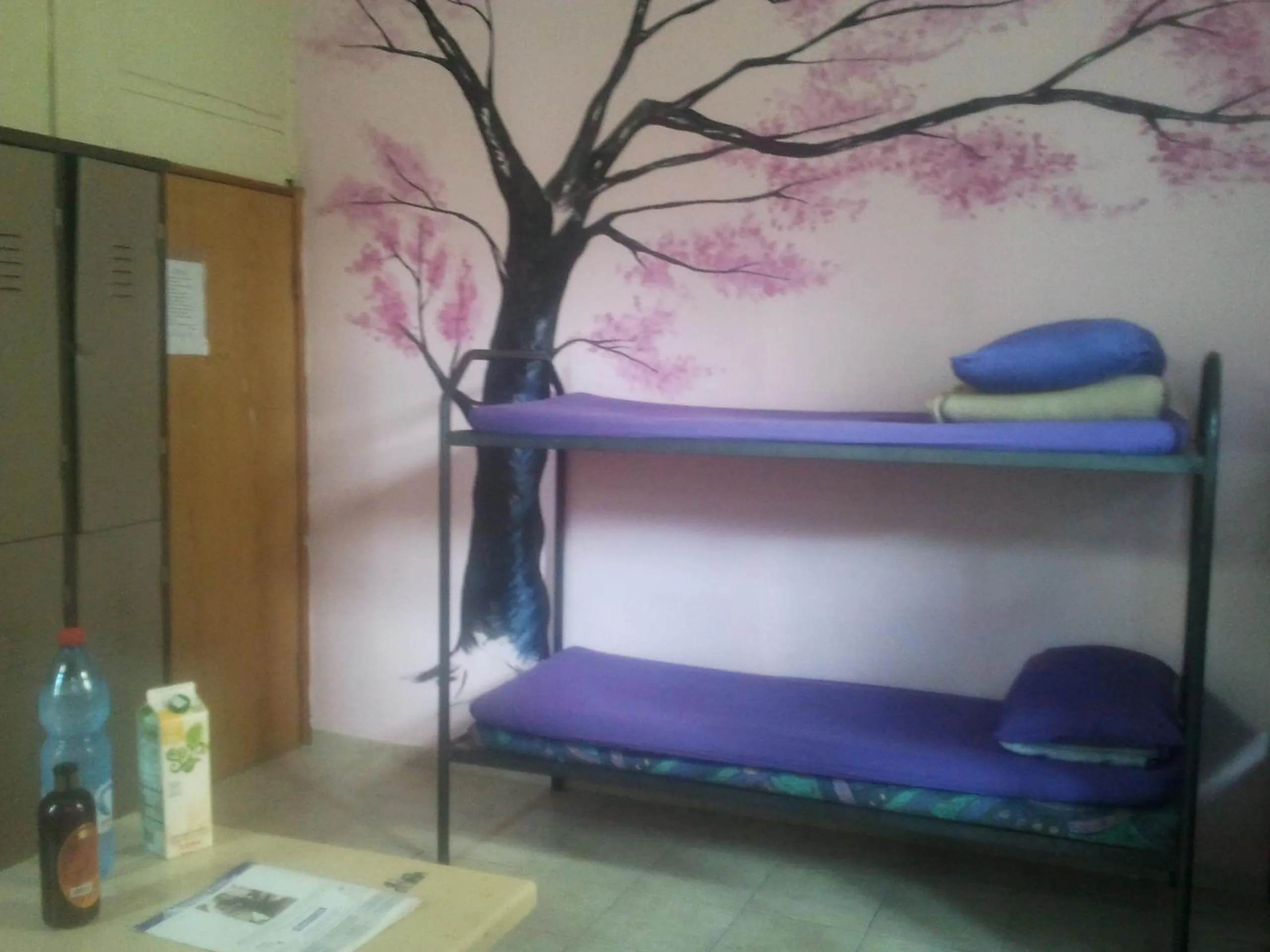 Bed, Bunk Bed in Momo's Hostel