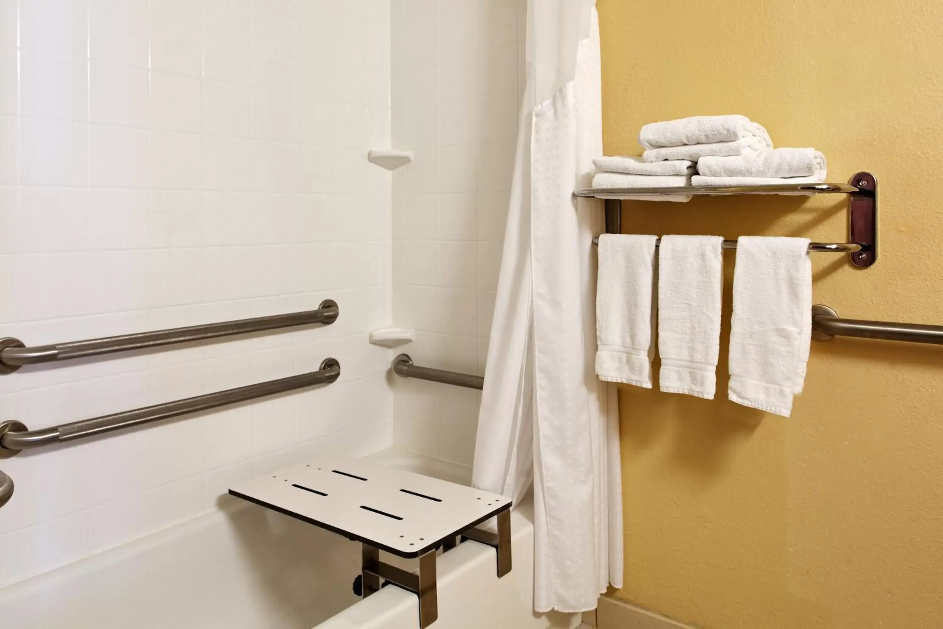 Bathroom in Holiday Inn Express Hotel & Suites Alcoa Knoxville Airport, an IHG Hotel