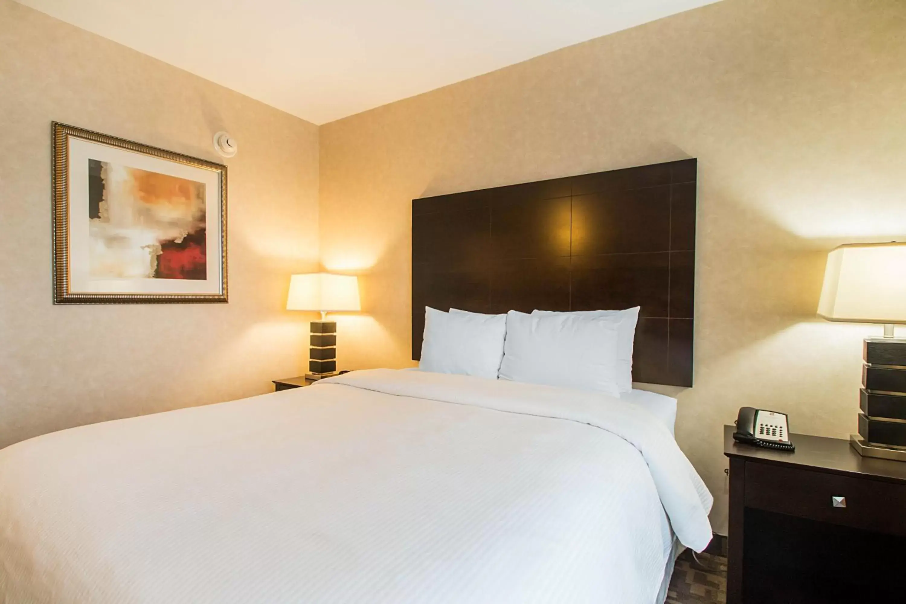 Bed in Clarion Inn Elmhurst - Oak Brook near I-88 I-290 I-294