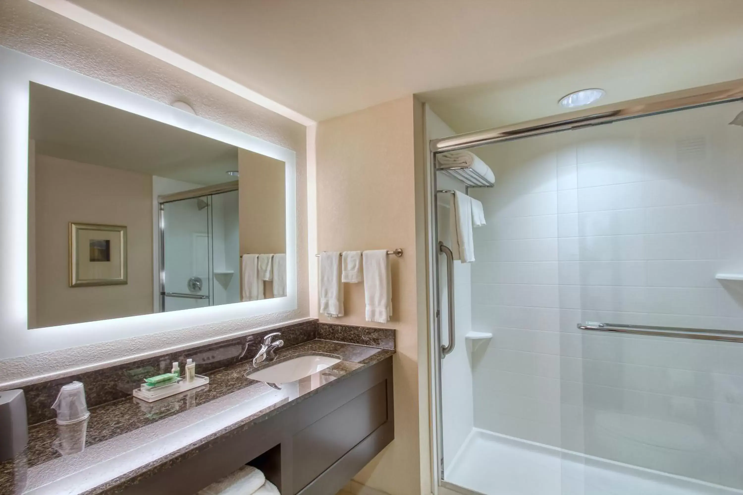 Bathroom in Holiday Inn & Suites Atlanta Airport North, an IHG Hotel