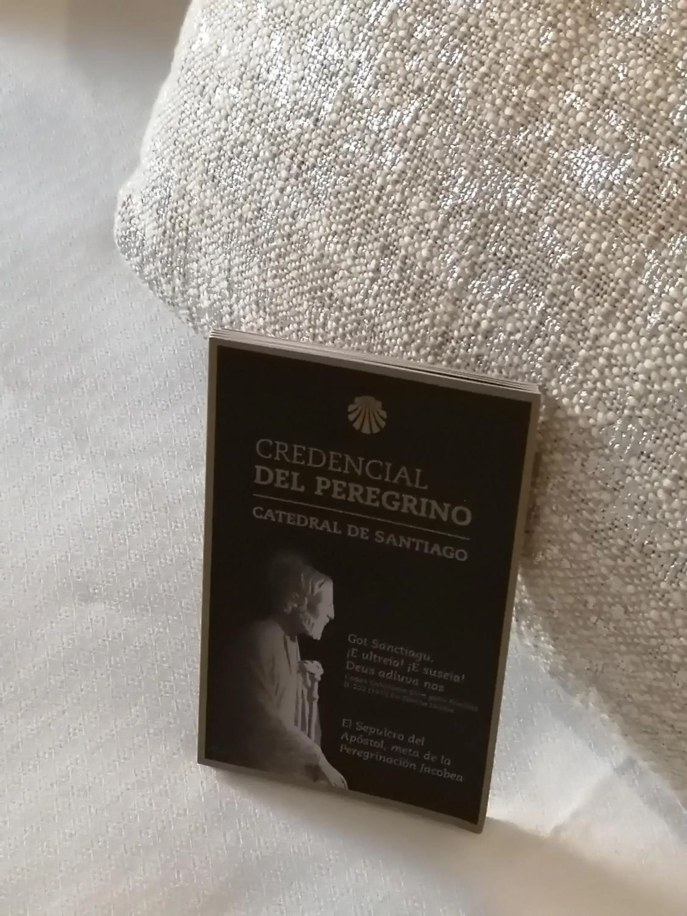 Photo of the whole room, Bed in Duerming Villa De Sarria Hotel