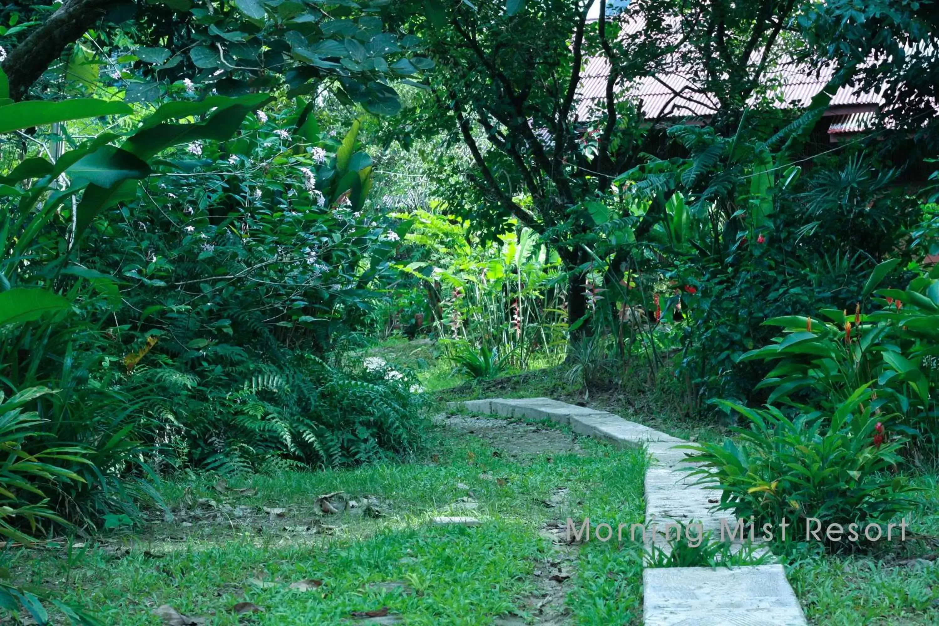 Garden in Khao Sok Morning Mist Resort