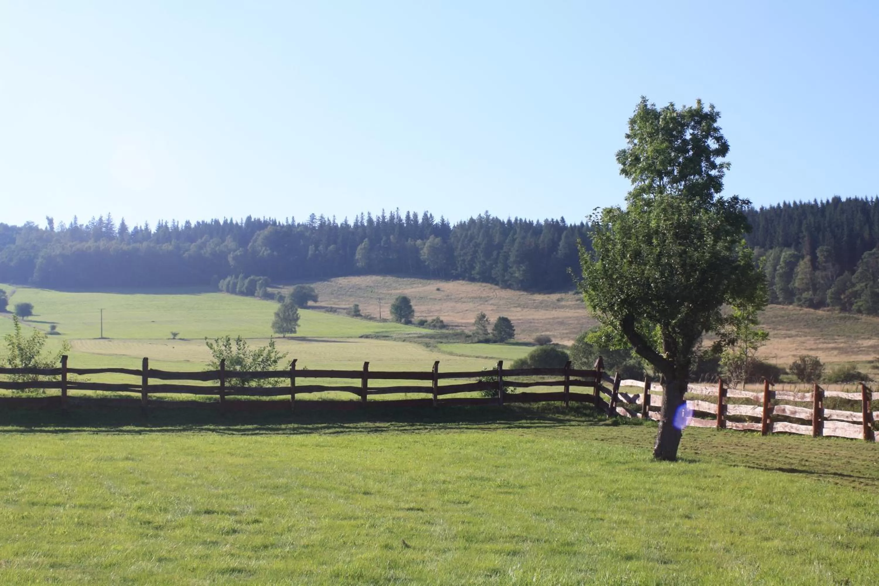Natural landscape in Dom na Klonowym Wzgórzu