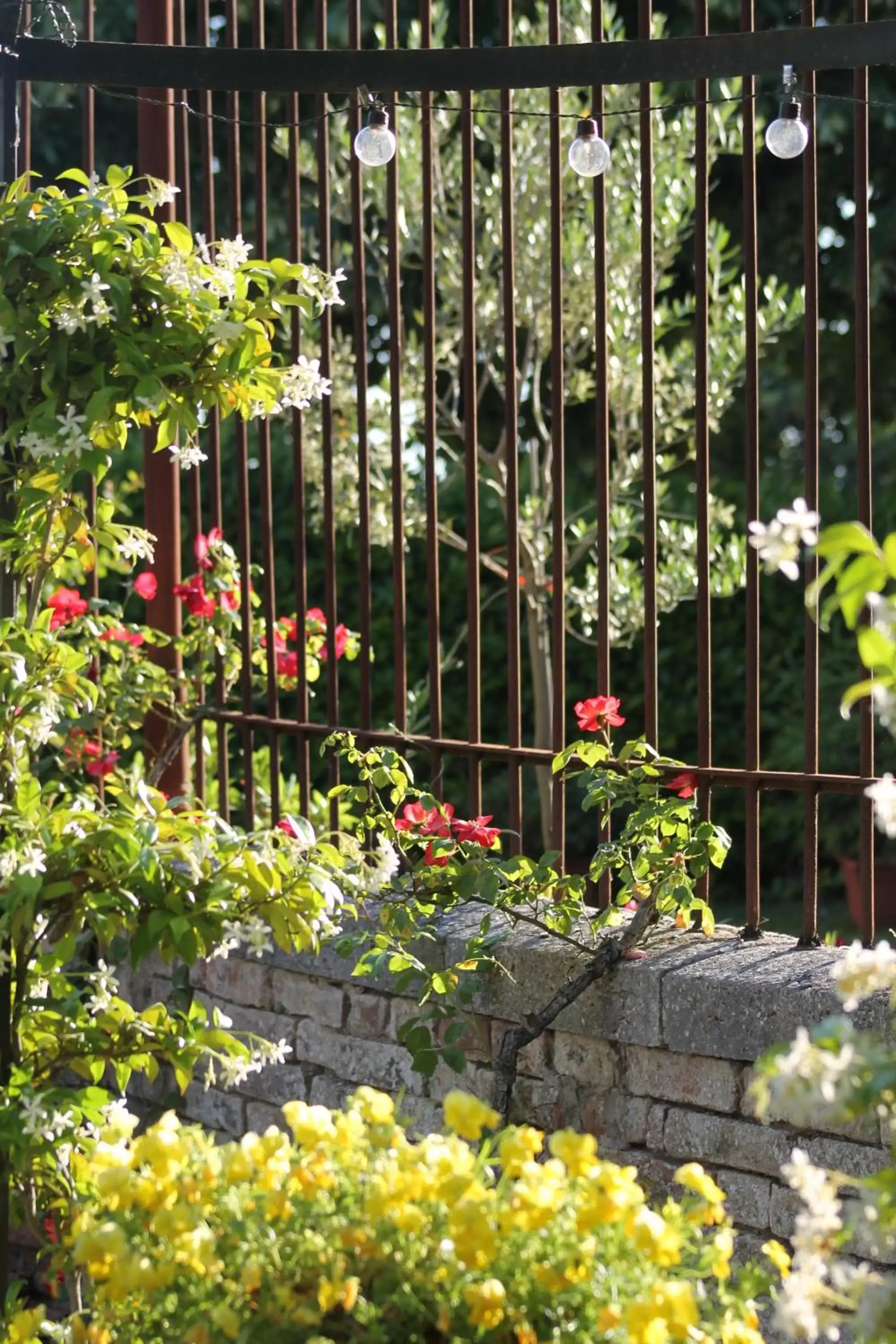 Garden in Villa Sant’Andrea