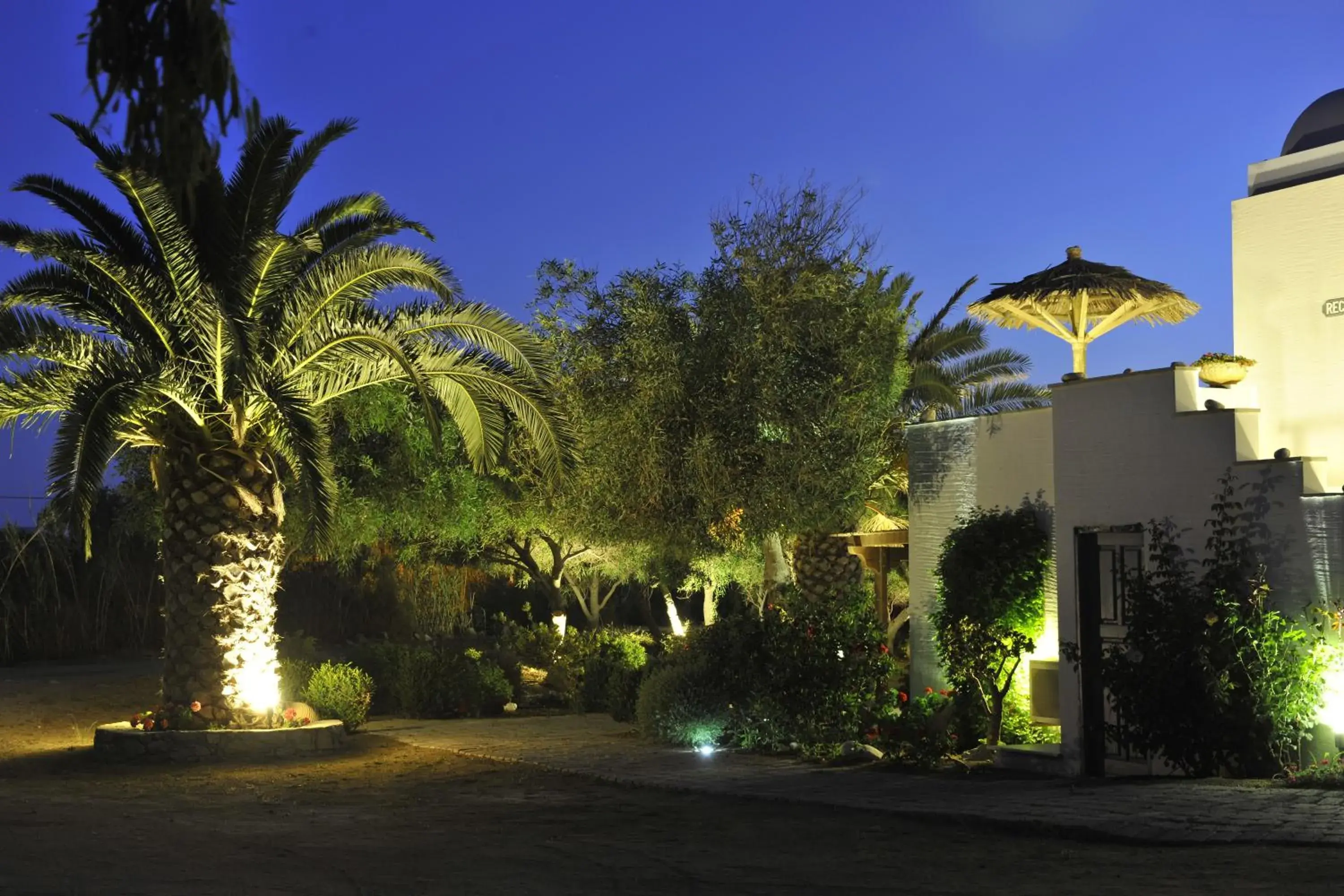 Garden, Property Building in Ammos Naxos Exclusive Apartment