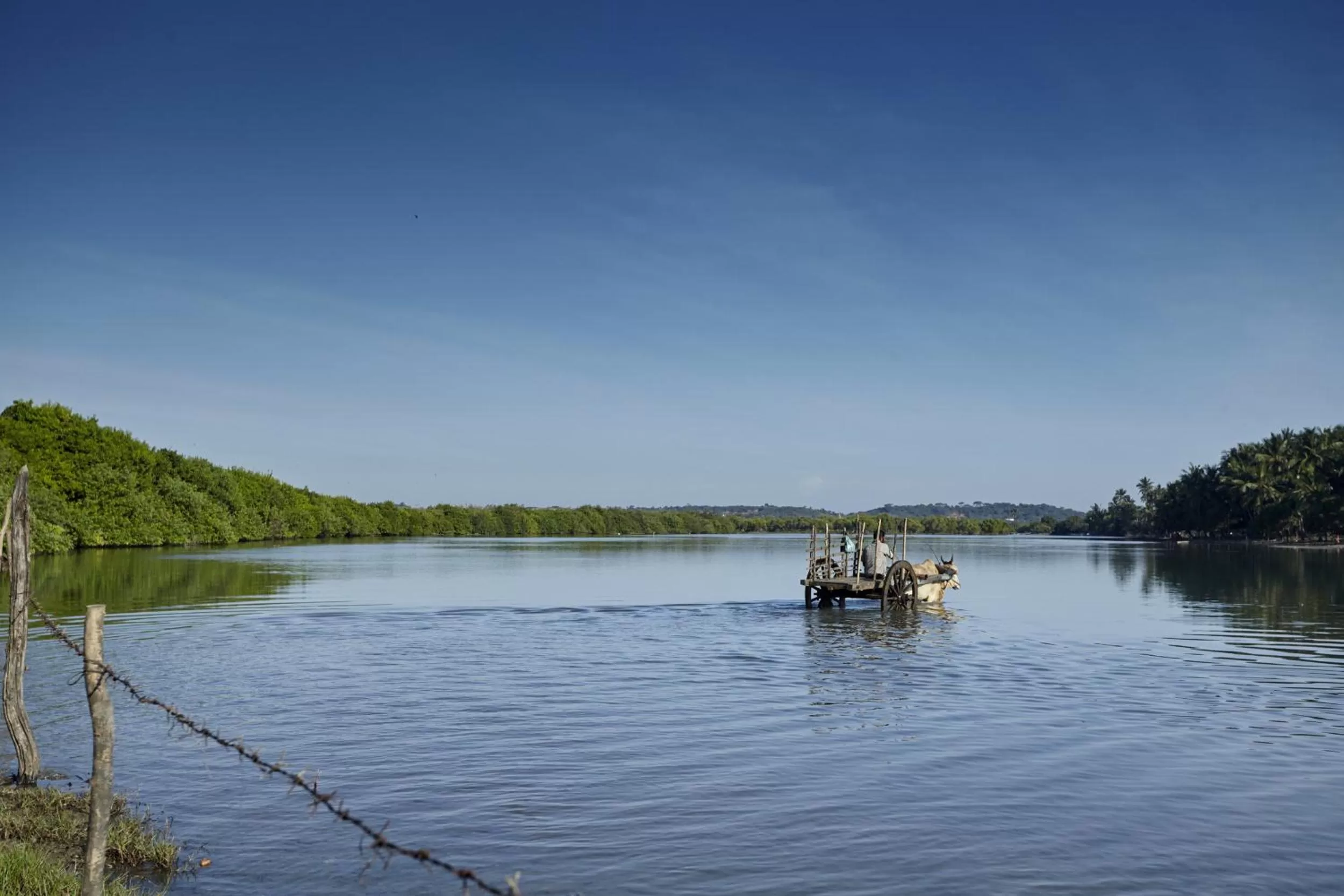 River view in Amaranthe Bay Resort & Spa