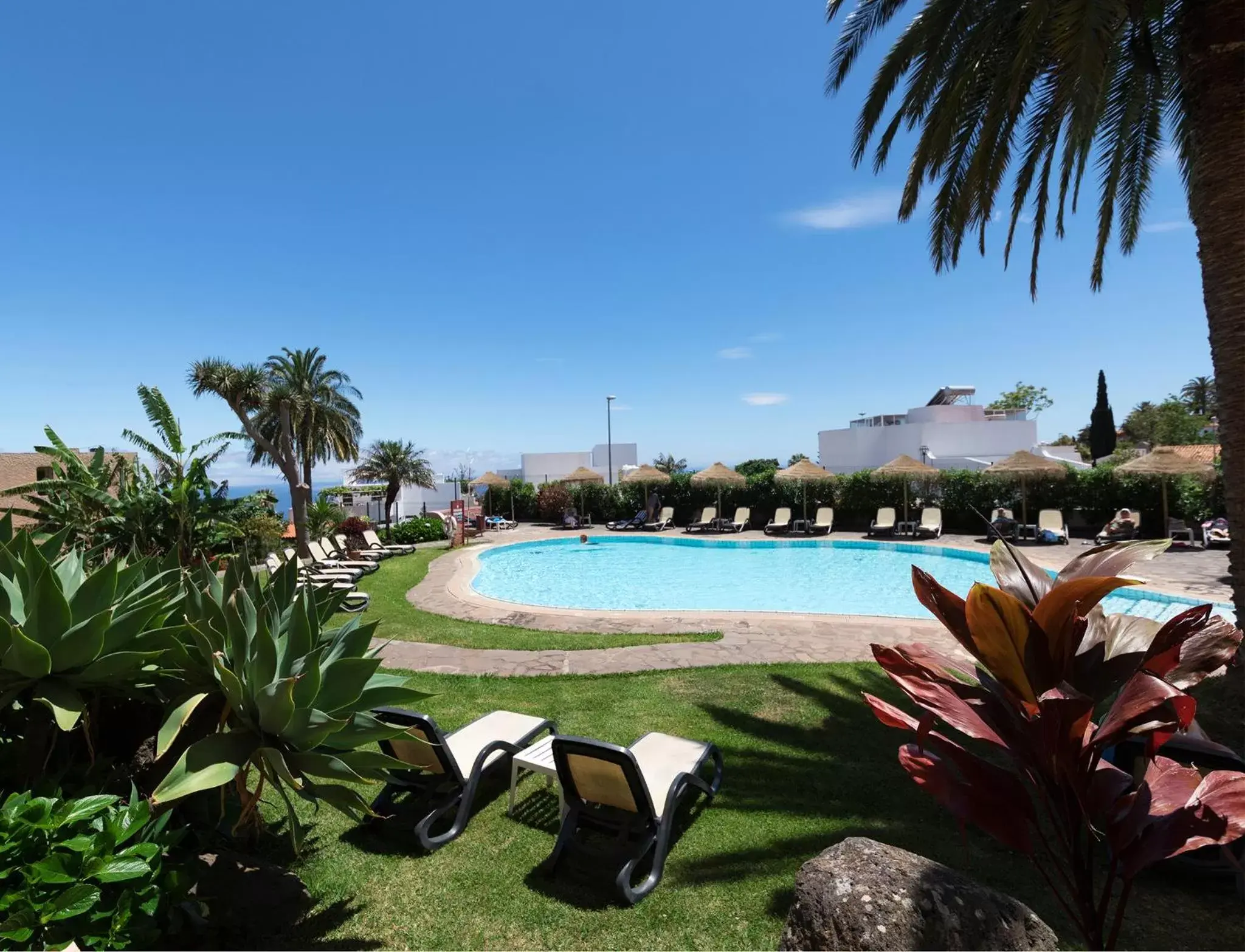 Garden, Swimming Pool in Dom Pedro Garajau