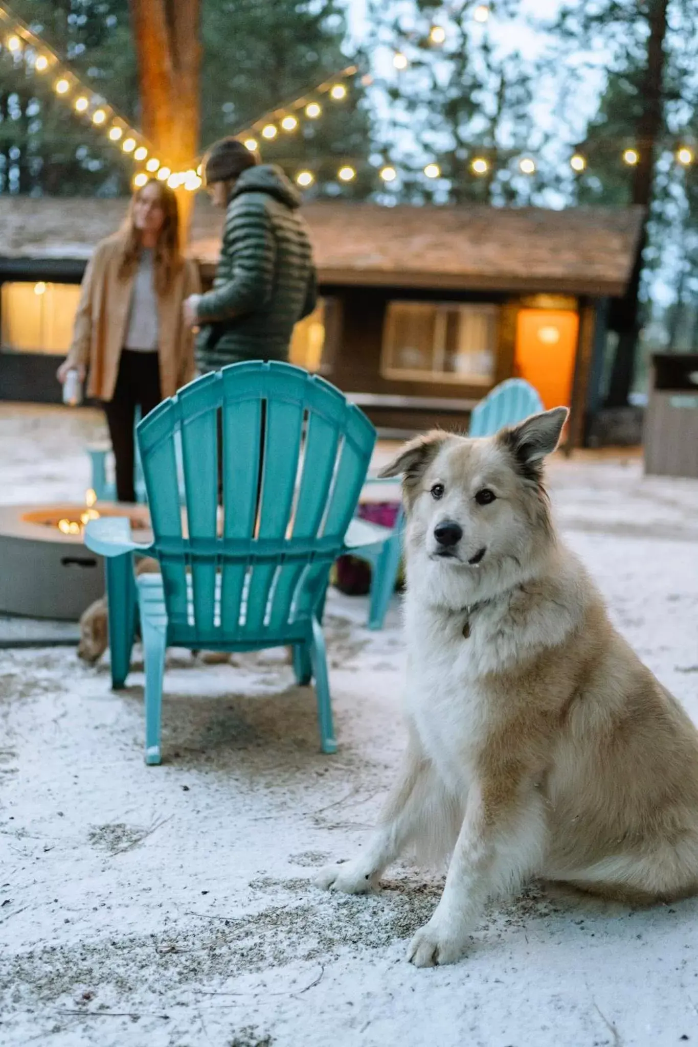 Patio, Pets in LOGE Bend