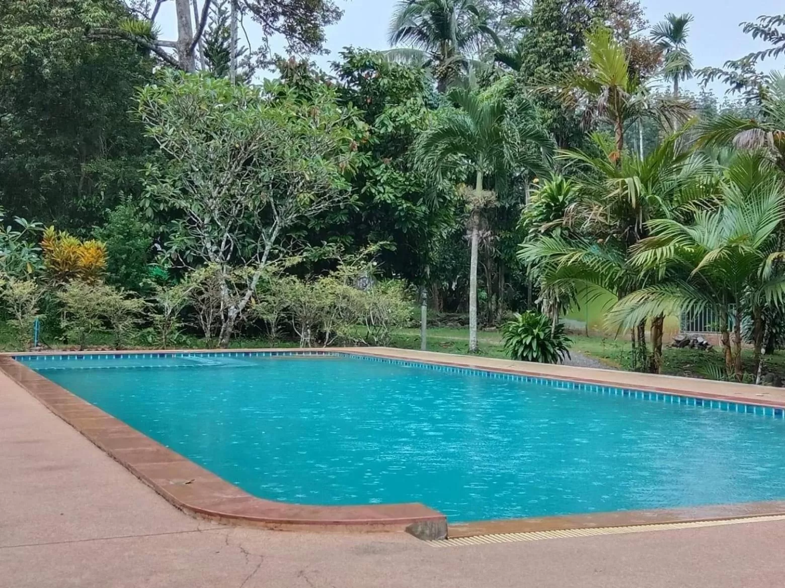 Tree Tops River Huts